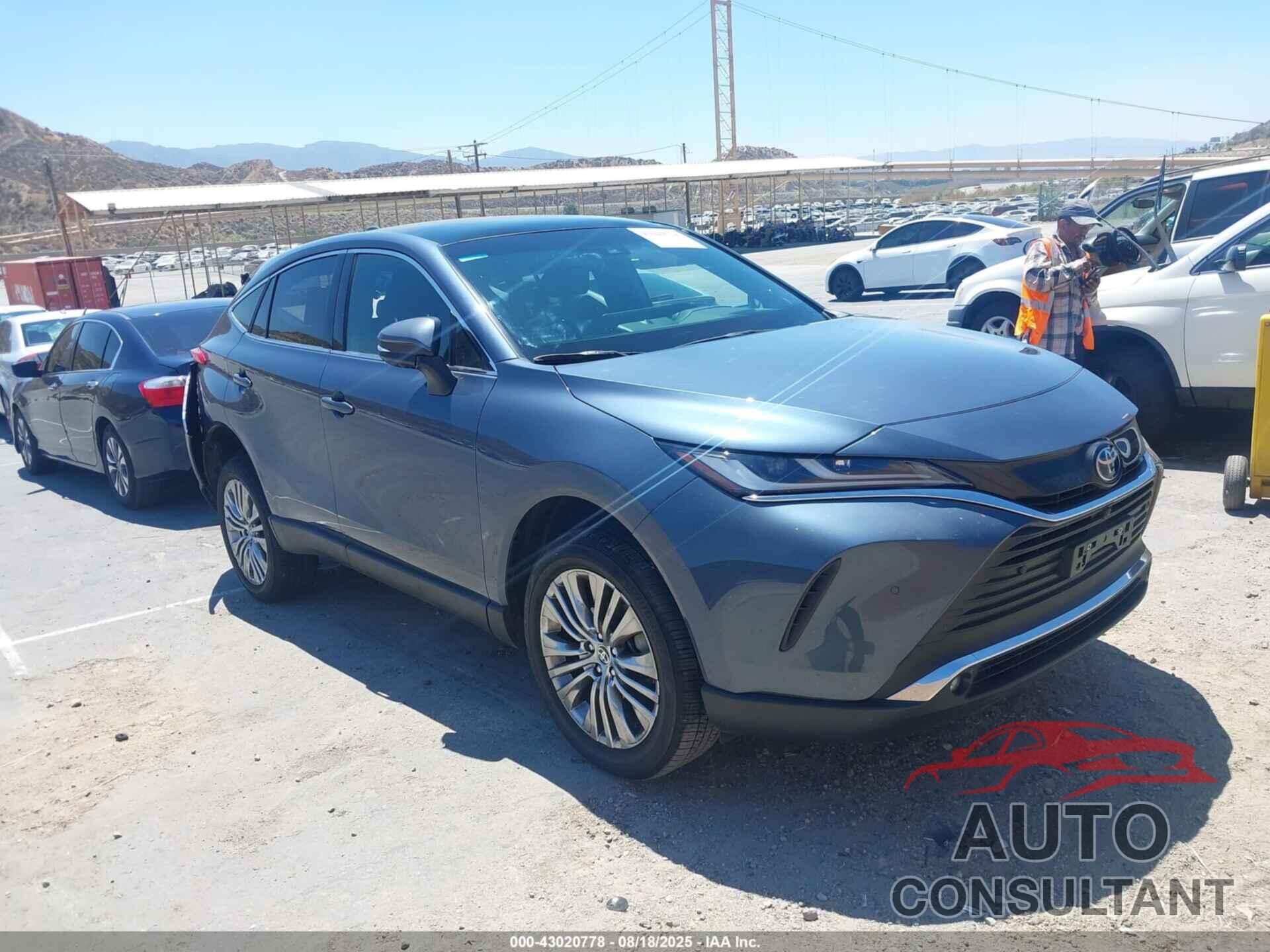 TOYOTA VENZA 2023 - JTEAAAAH6PJ140078
