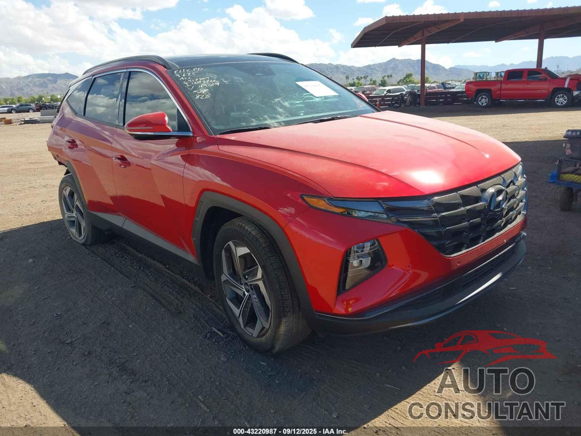 HYUNDAI TUCSON 2023 - 5NMJECAE3PH169019