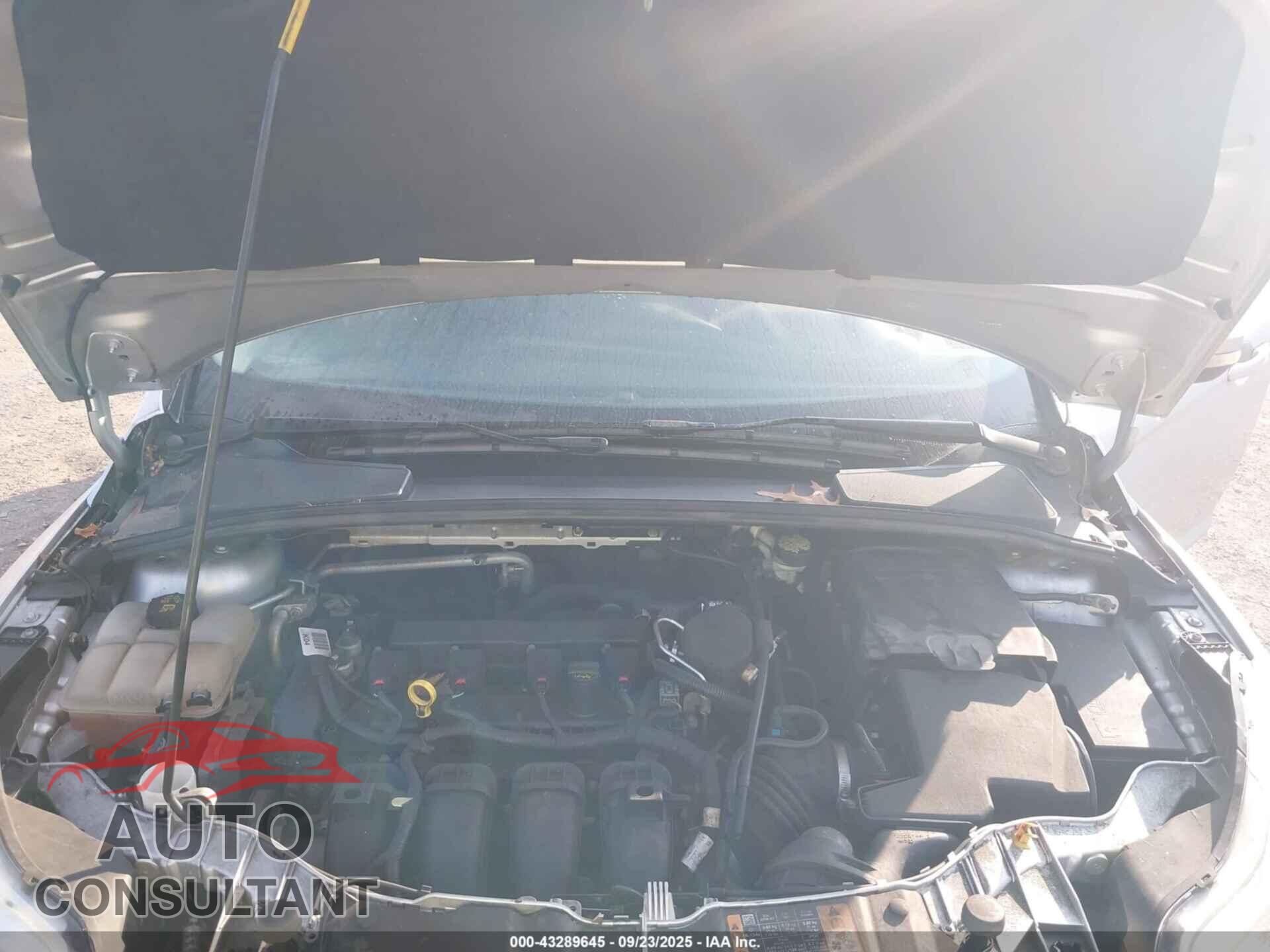FORD FOCUS 2014 - 1FADP3F28EL446691