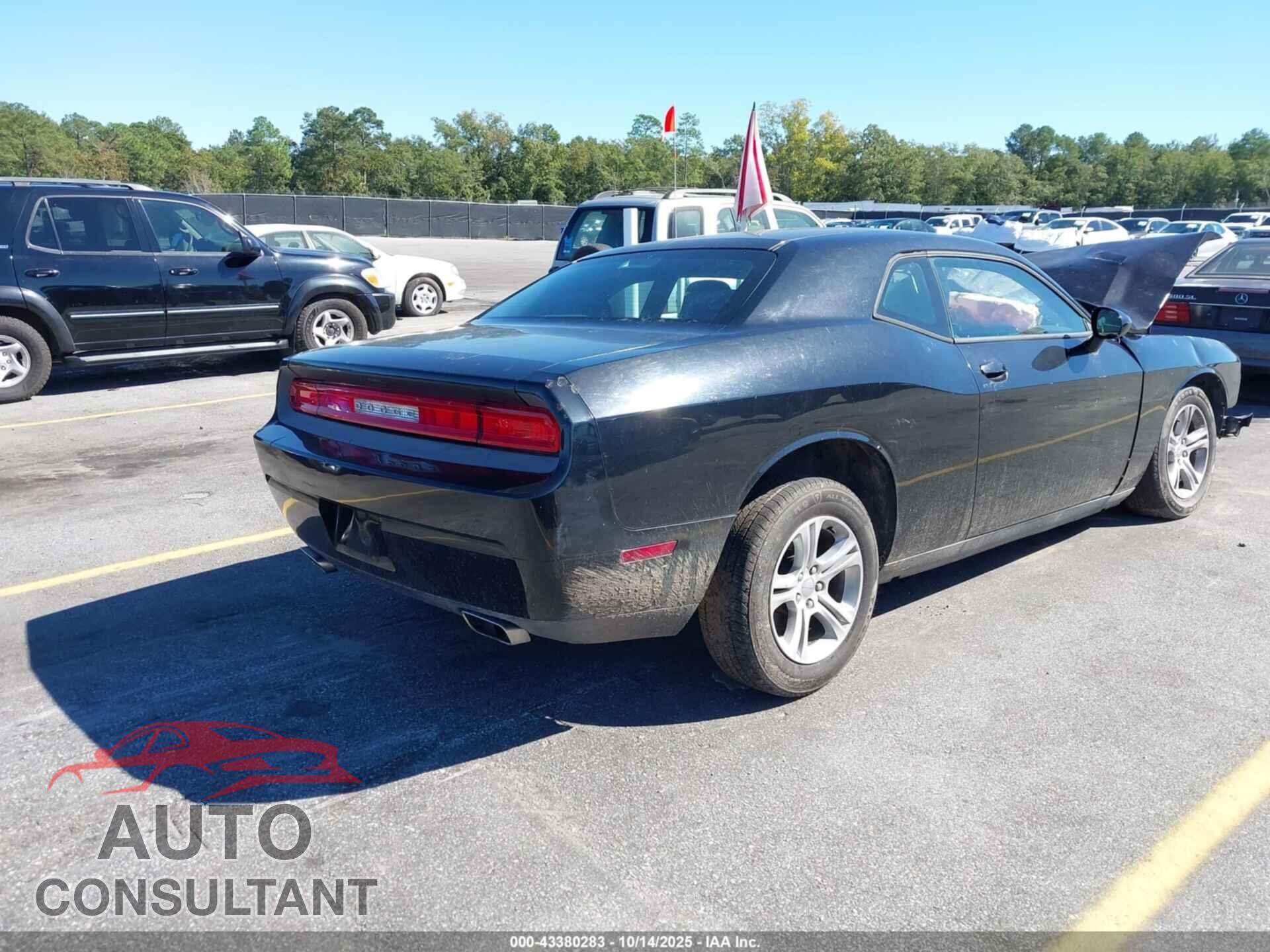 DODGE CHALLENGER 2013 - 2C3CDYAG6DH724633