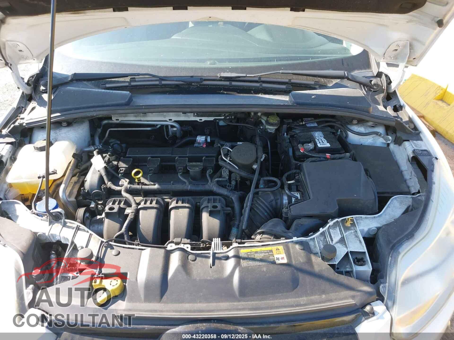 FORD FOCUS 2012 - 1FAHP3F24CL258247