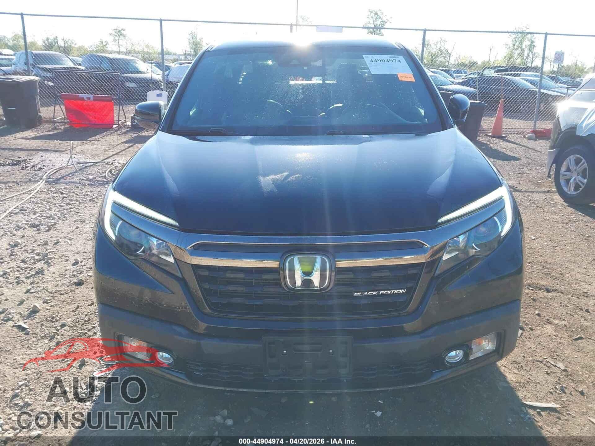 HONDA RIDGELINE 2019 - 5FPYK3F85KB017724