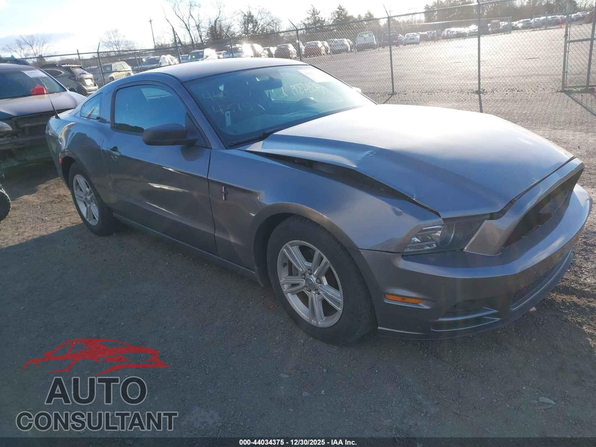 FORD MUSTANG 2014 - 1ZVBP8AM2E5319475