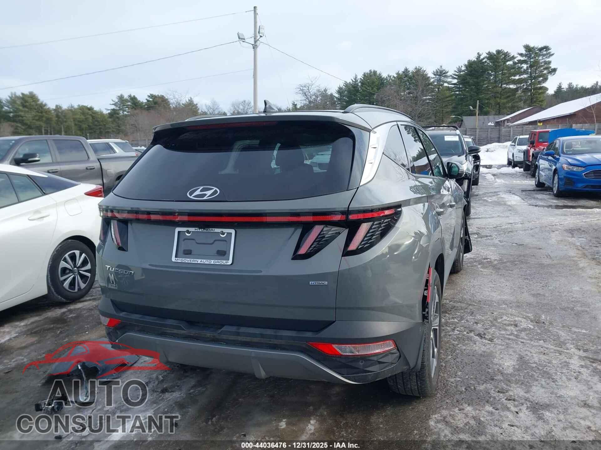 HYUNDAI TUCSON 2024 - 5NMJECDE8RH395491