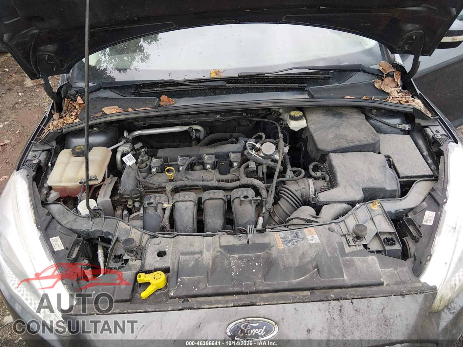 FORD FOCUS 2017 - 1FADP3F23HL232907