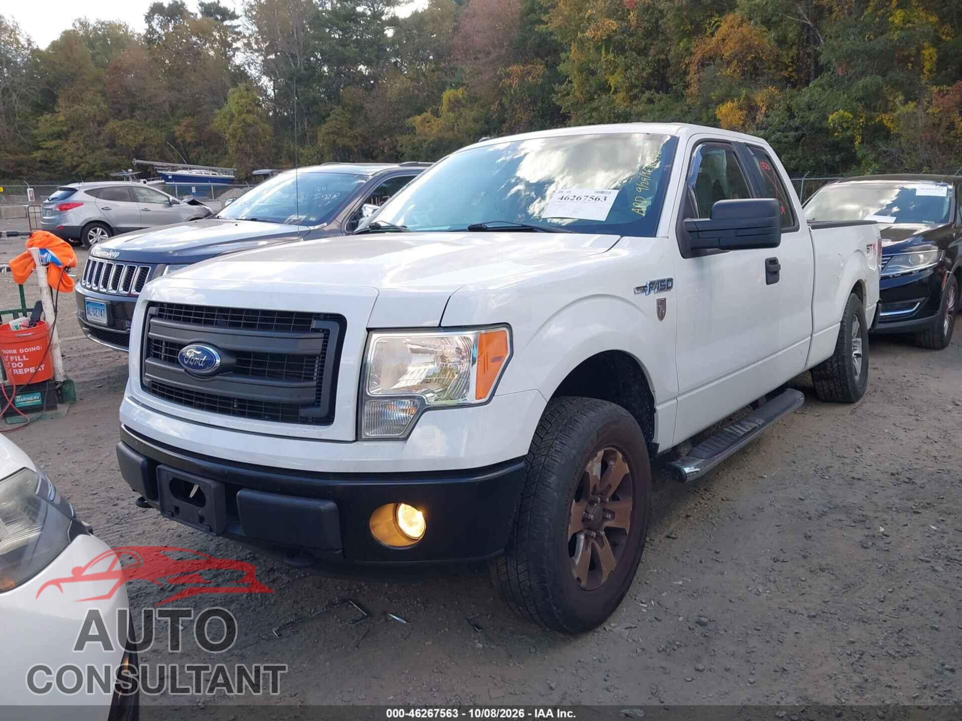 FORD F-150 2013 - 1FTFX1EF9DFB94541