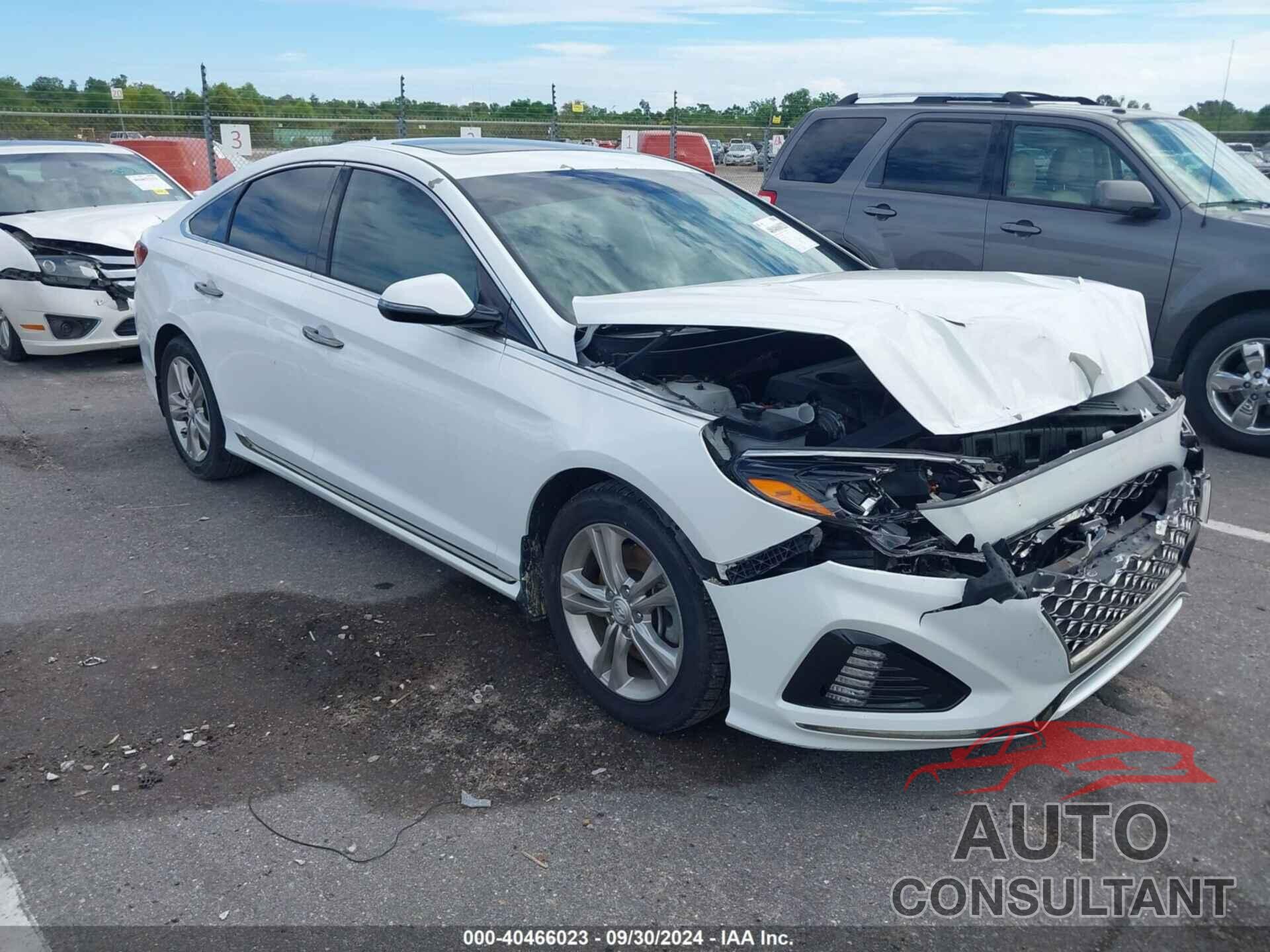 HYUNDAI SONATA 2019 - 5NPE34AFXKH772292