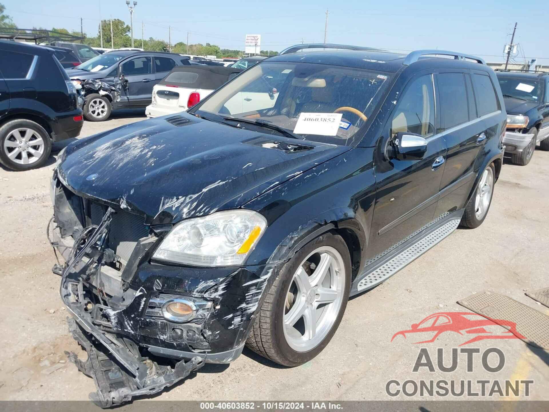 MERCEDES-BENZ GL 550 2009 - 4JGBF86E59A498918