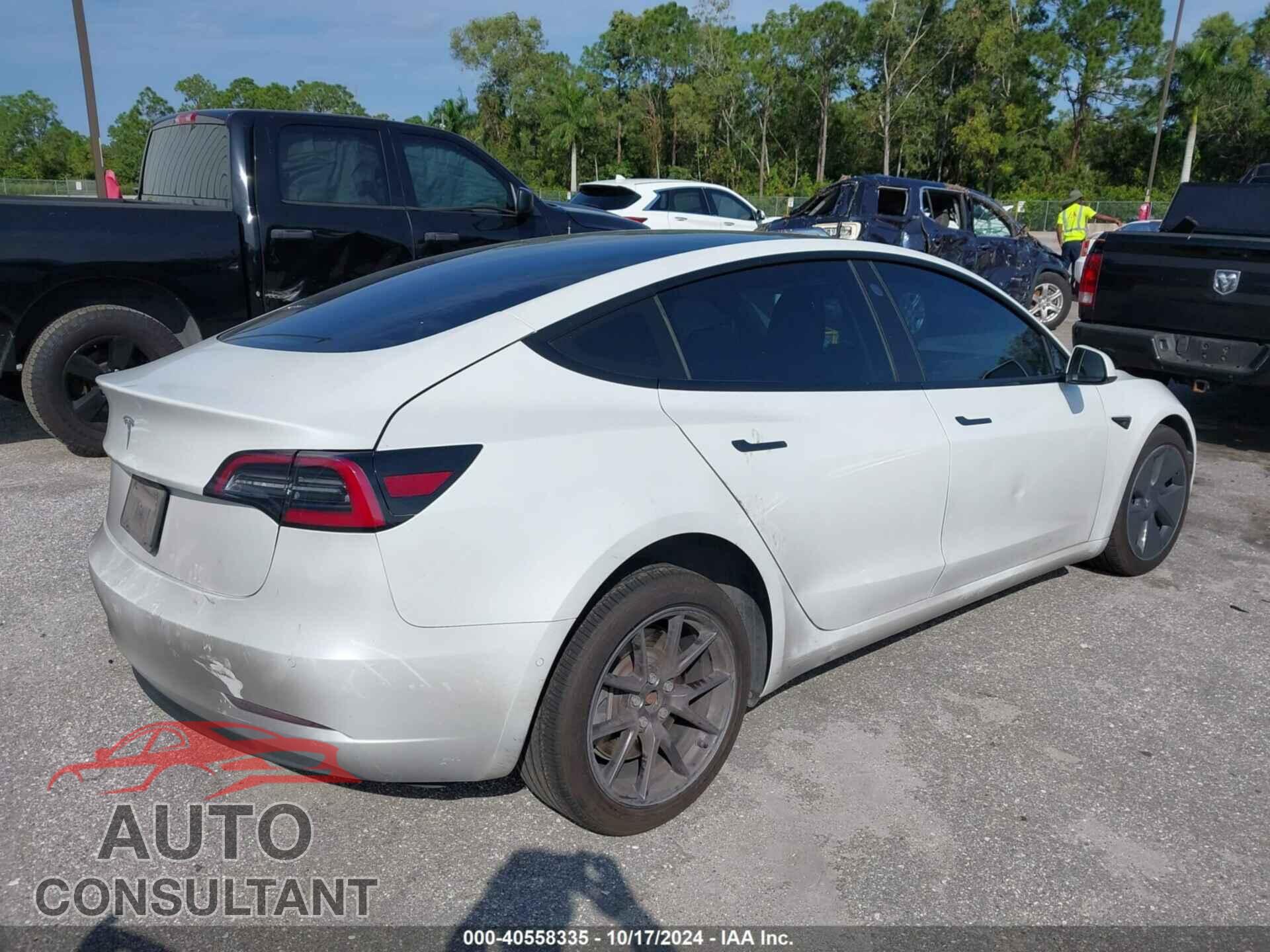 TESLA MODEL 3 2021 - 5YJ3E1EA2MF921195