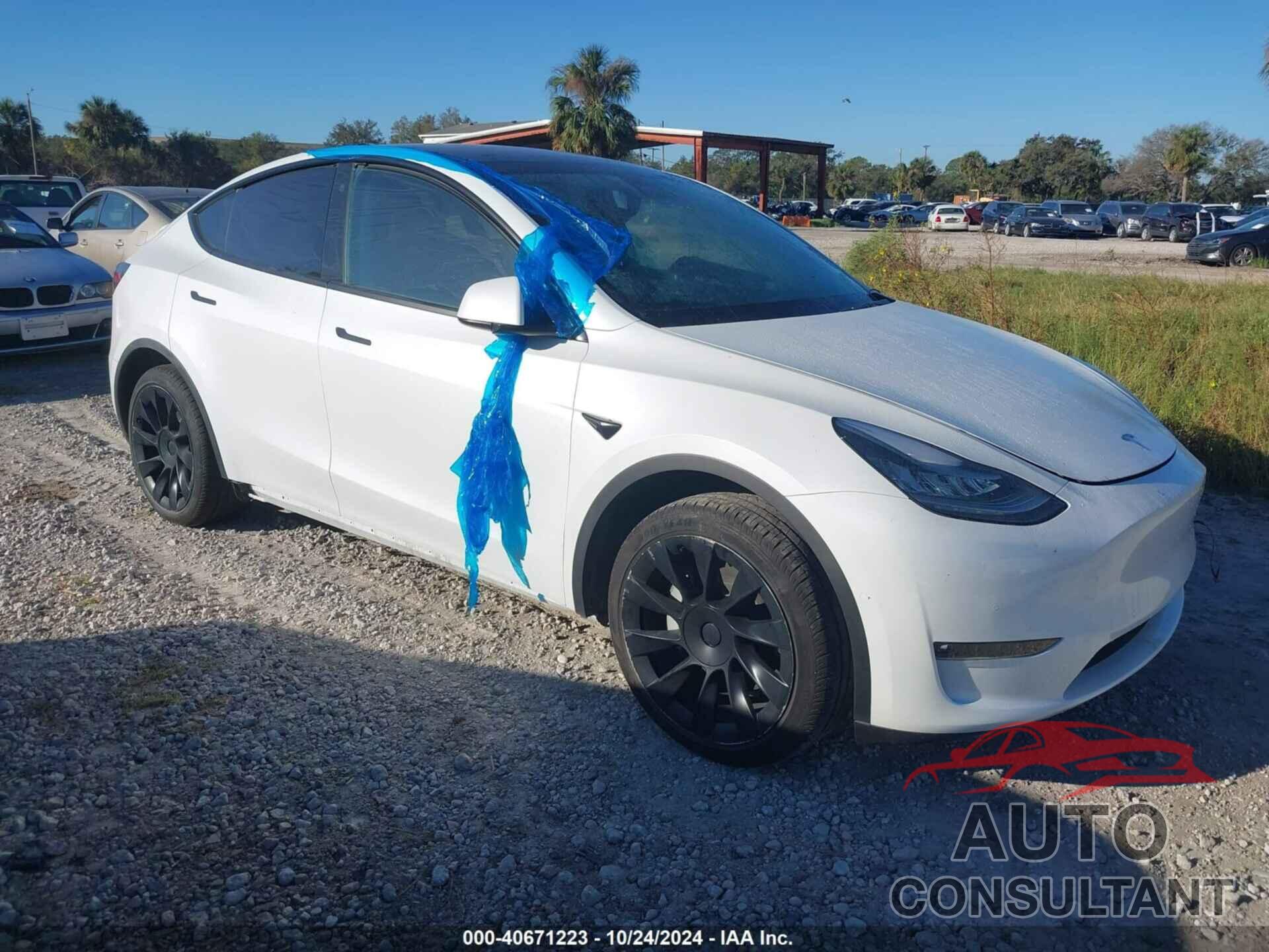 TESLA MODEL Y 2021 - 5YJYGDEDXMF110160