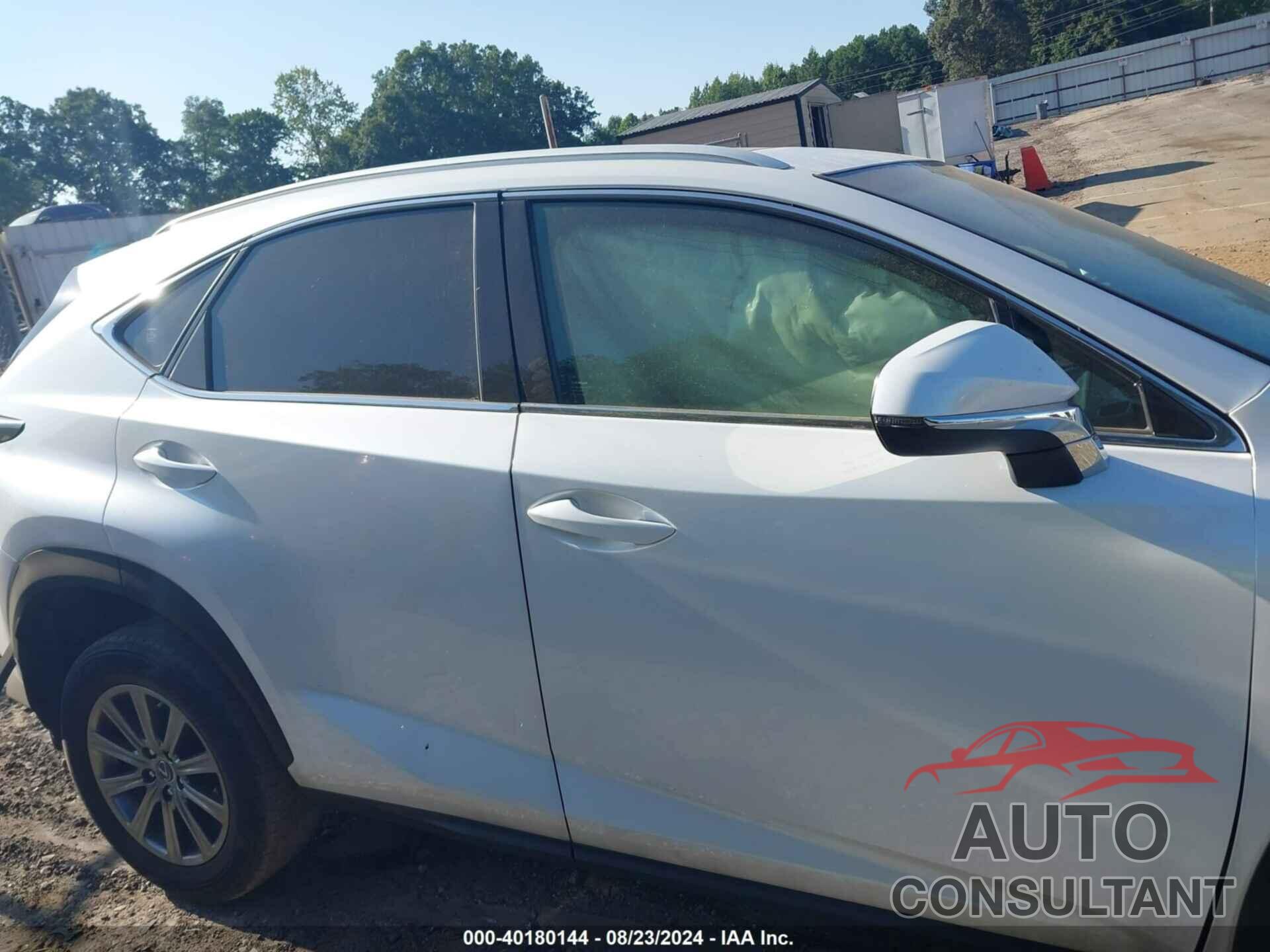 LEXUS NX 300 2019 - JTJYARBZ5K2126889