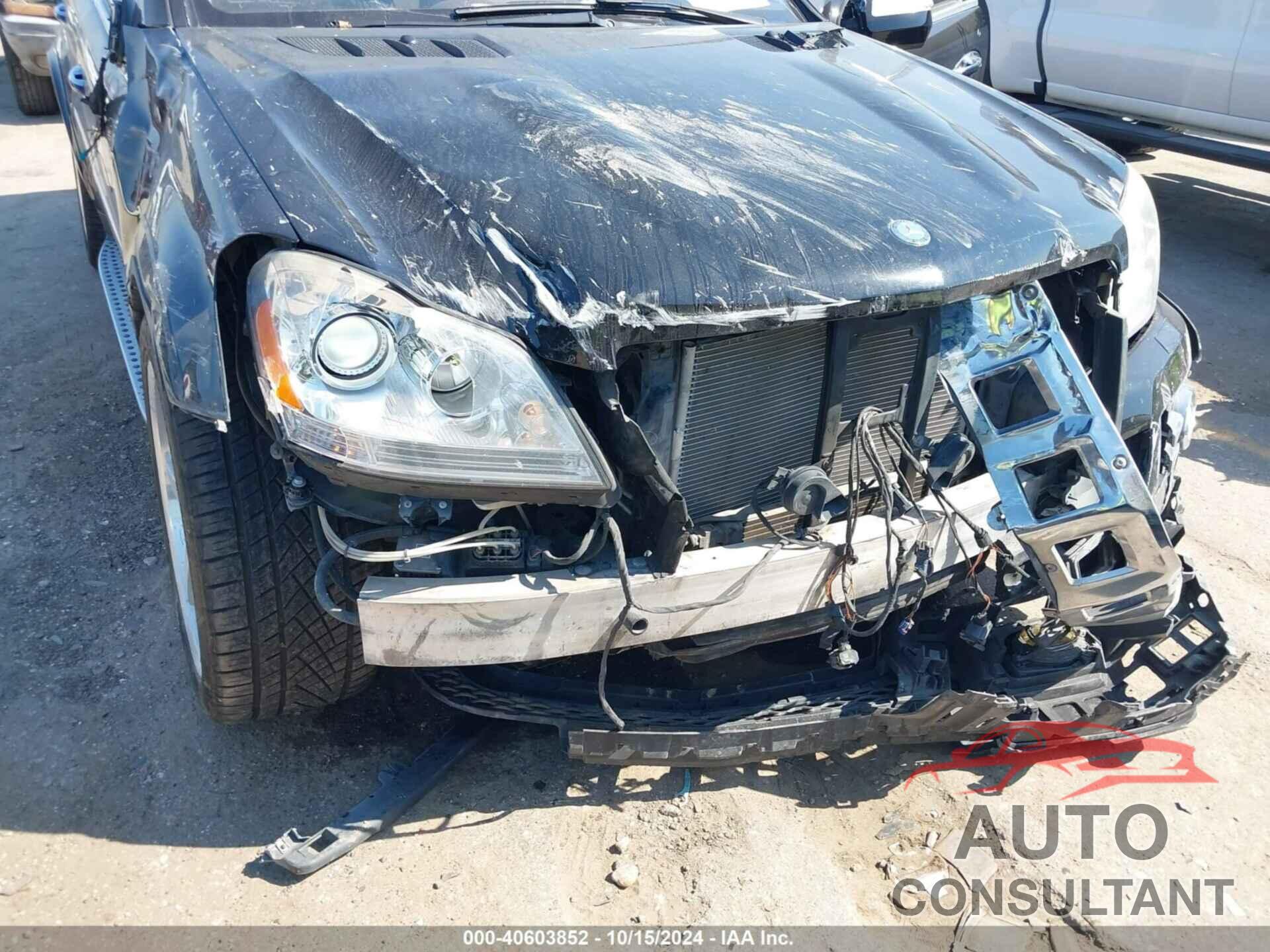 MERCEDES-BENZ GL 550 2009 - 4JGBF86E59A498918