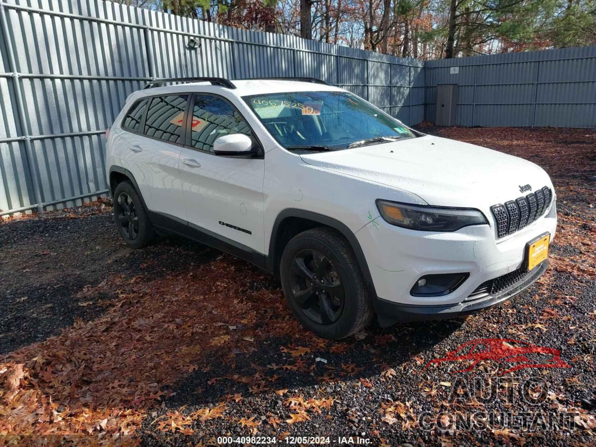 JEEP CHEROKEE 2019 - 1C4PJMLB4KD321809