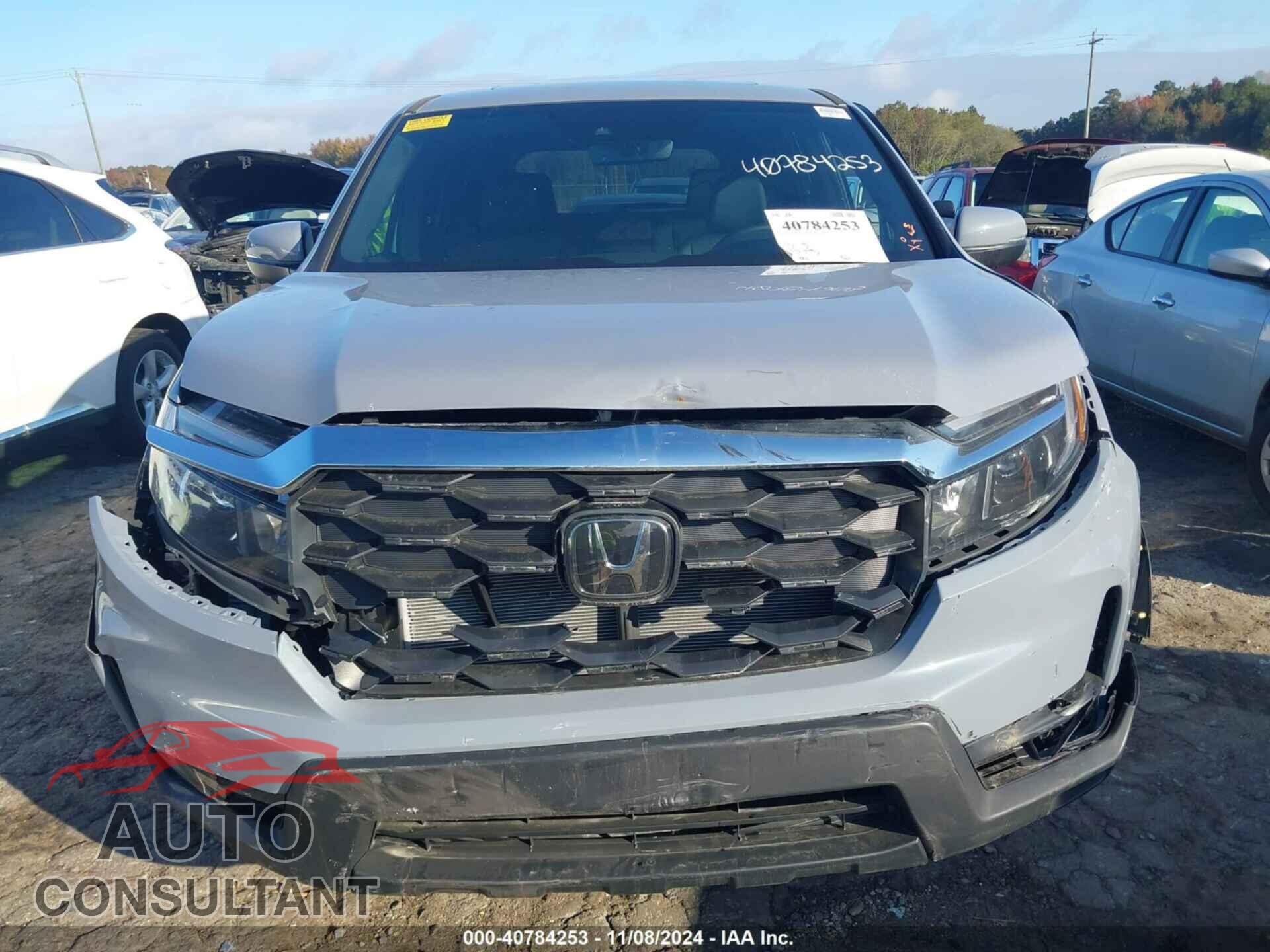 HONDA PASSPORT 2024 - 5FNYF8H58RB003355