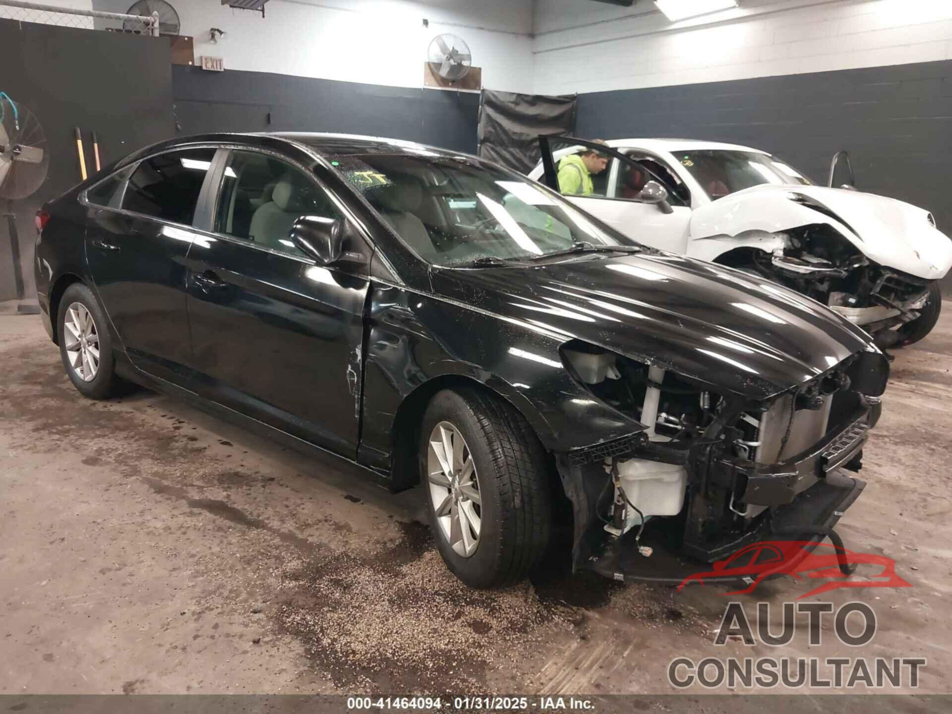 HYUNDAI SONATA 2019 - 5NPE24AF2KH802274