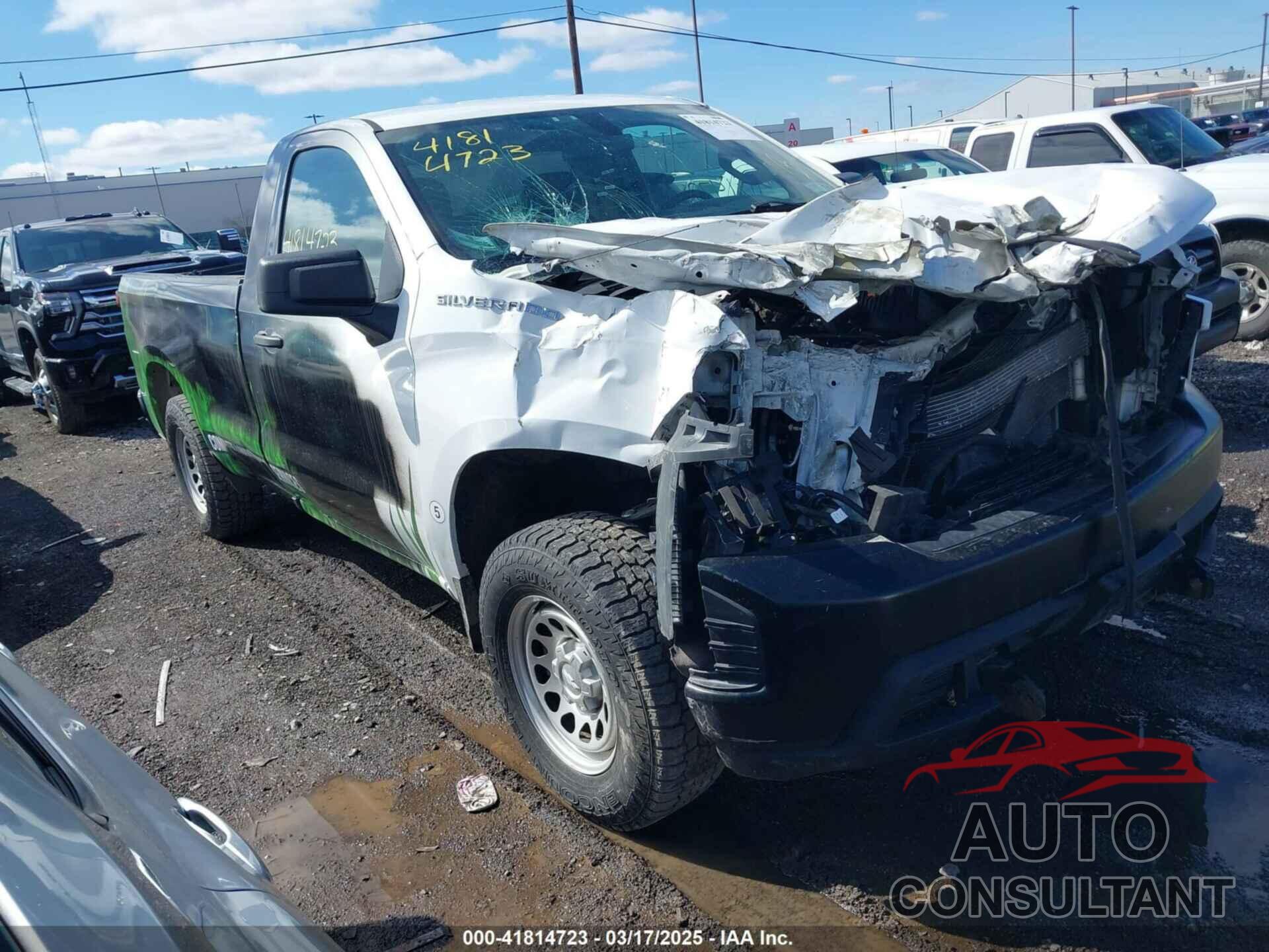 CHEVROLET SILVERADO 1500 2020 - 3GCNYAEF9LG317678