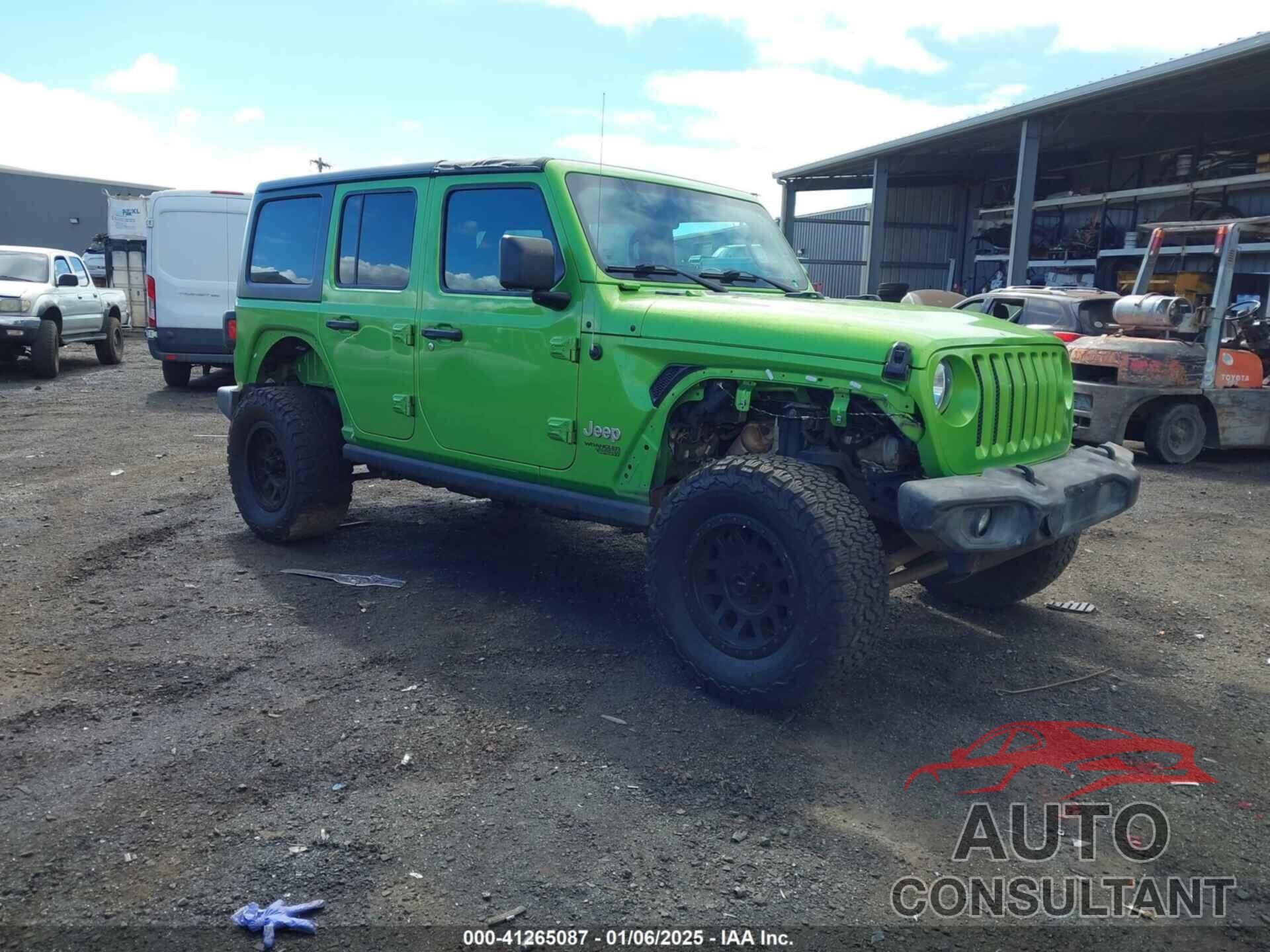 JEEP WRANGLER UNLIMITED 2019 - 1C4HJXDG2KW579332