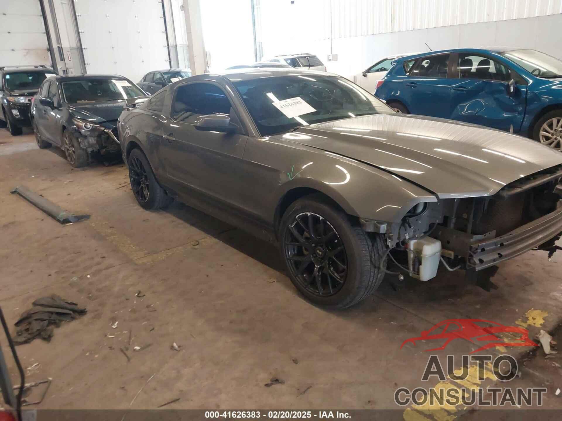 FORD MUSTANG 2013 - 1ZVBP8AM3D5242145