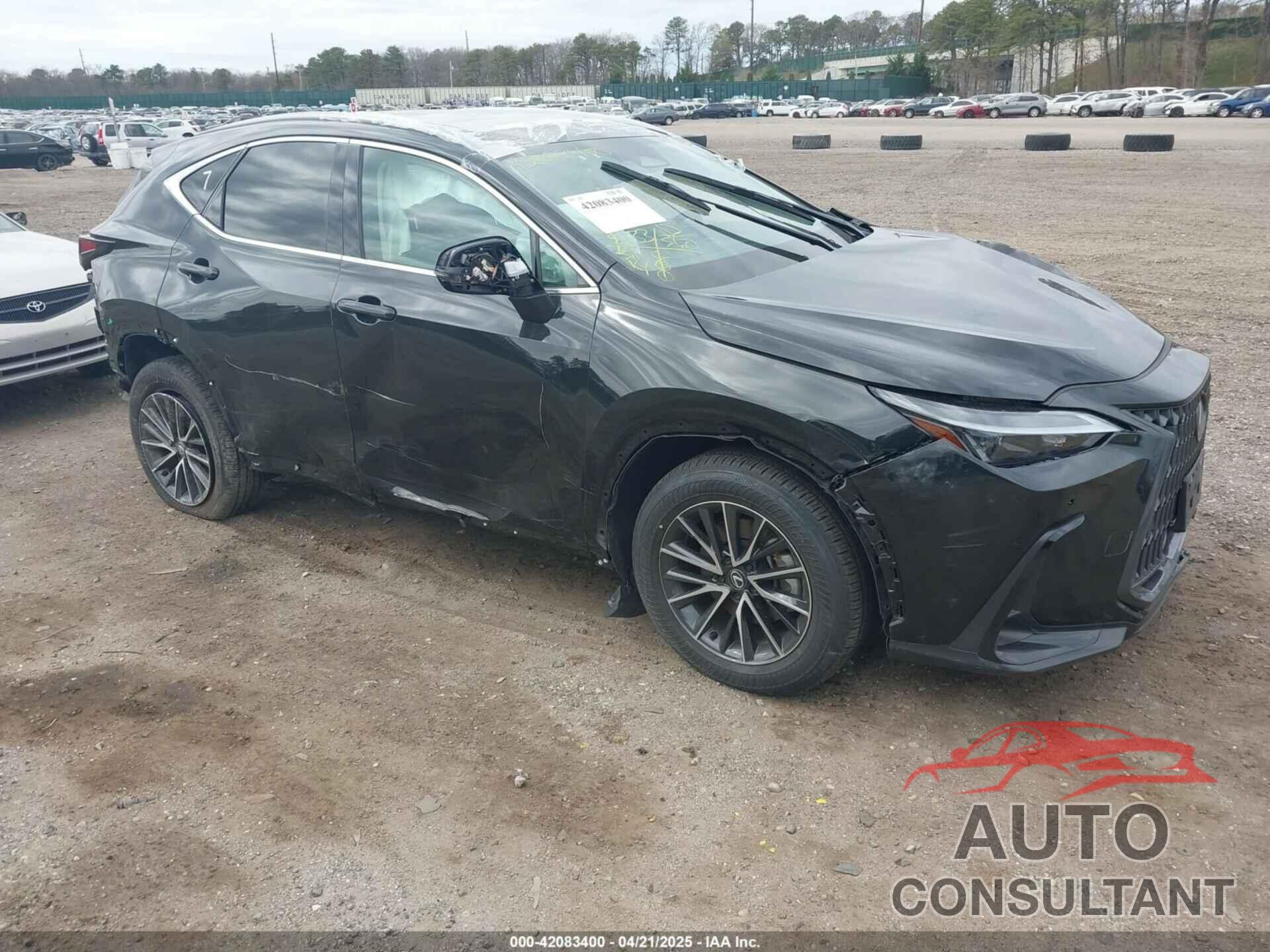 LEXUS NX 350 2024 - 2T2GGCEZ0RC059809