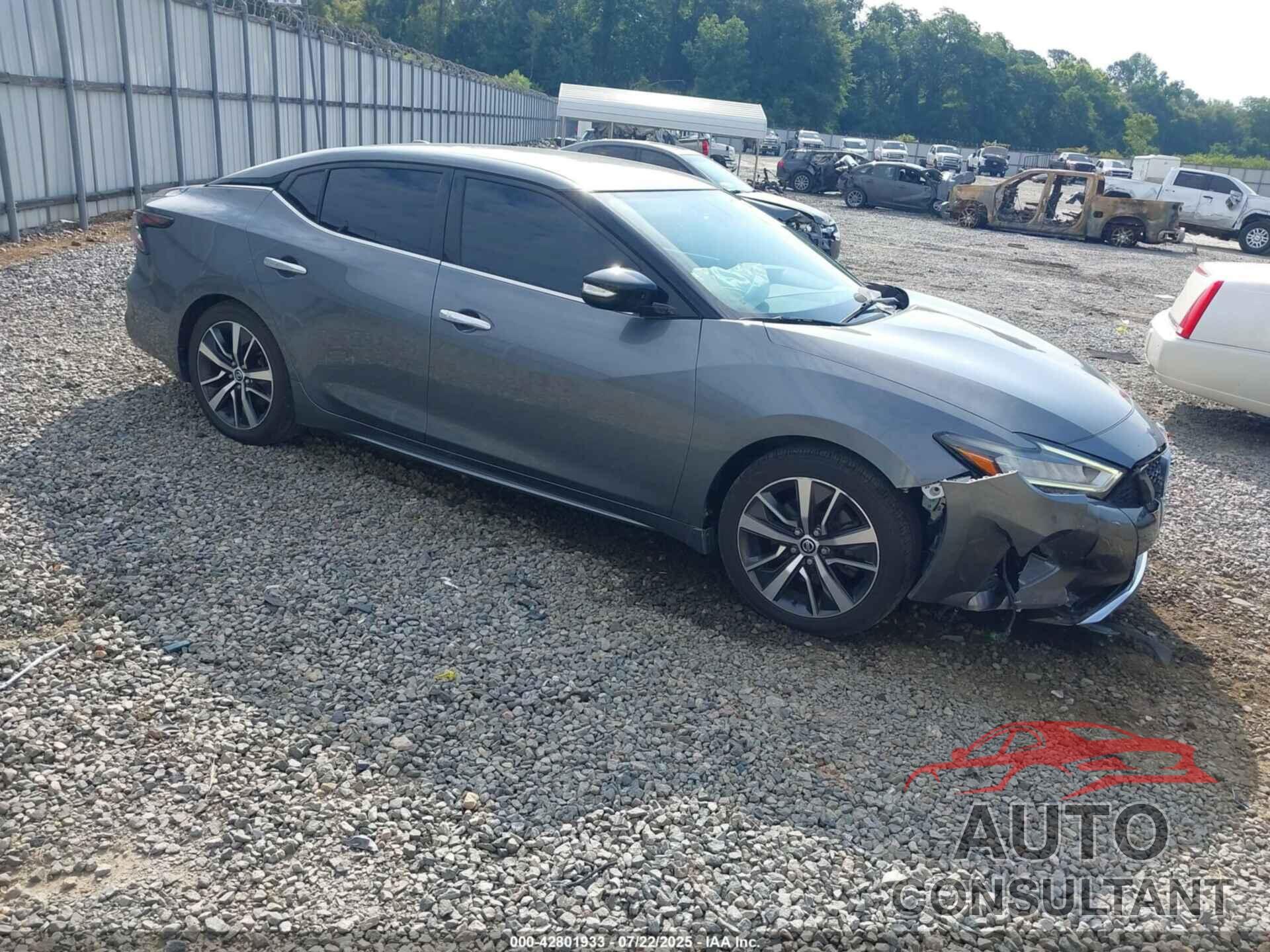 NISSAN MAXIMA 2019 - 1N4AA6AV6KC382265