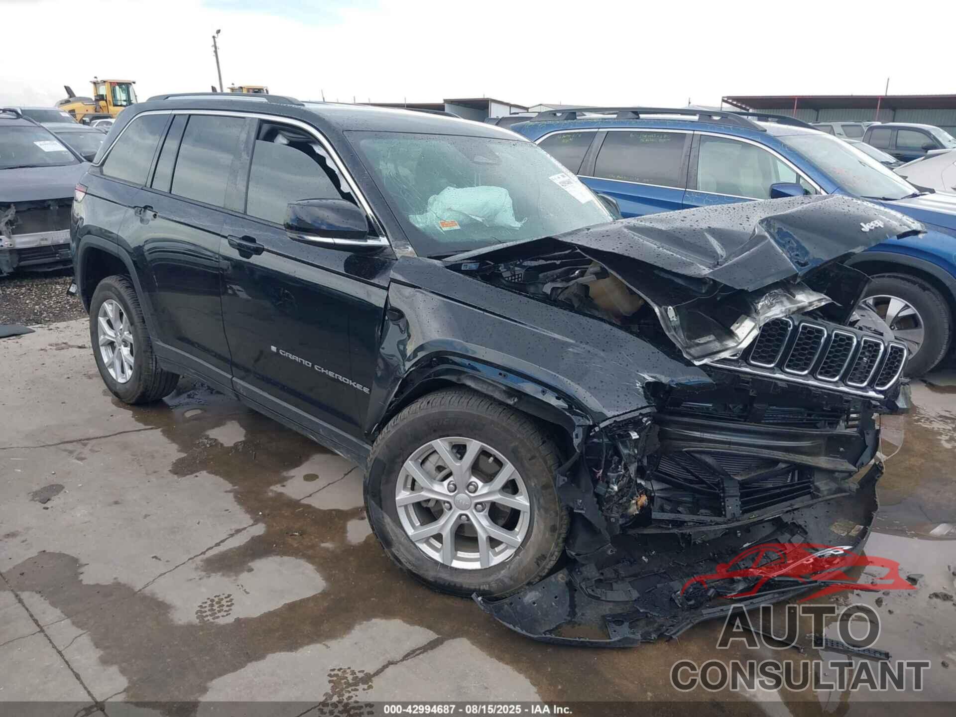 JEEP GRAND CHEROKEE 2024 - 1C4RJGBG7RC709804