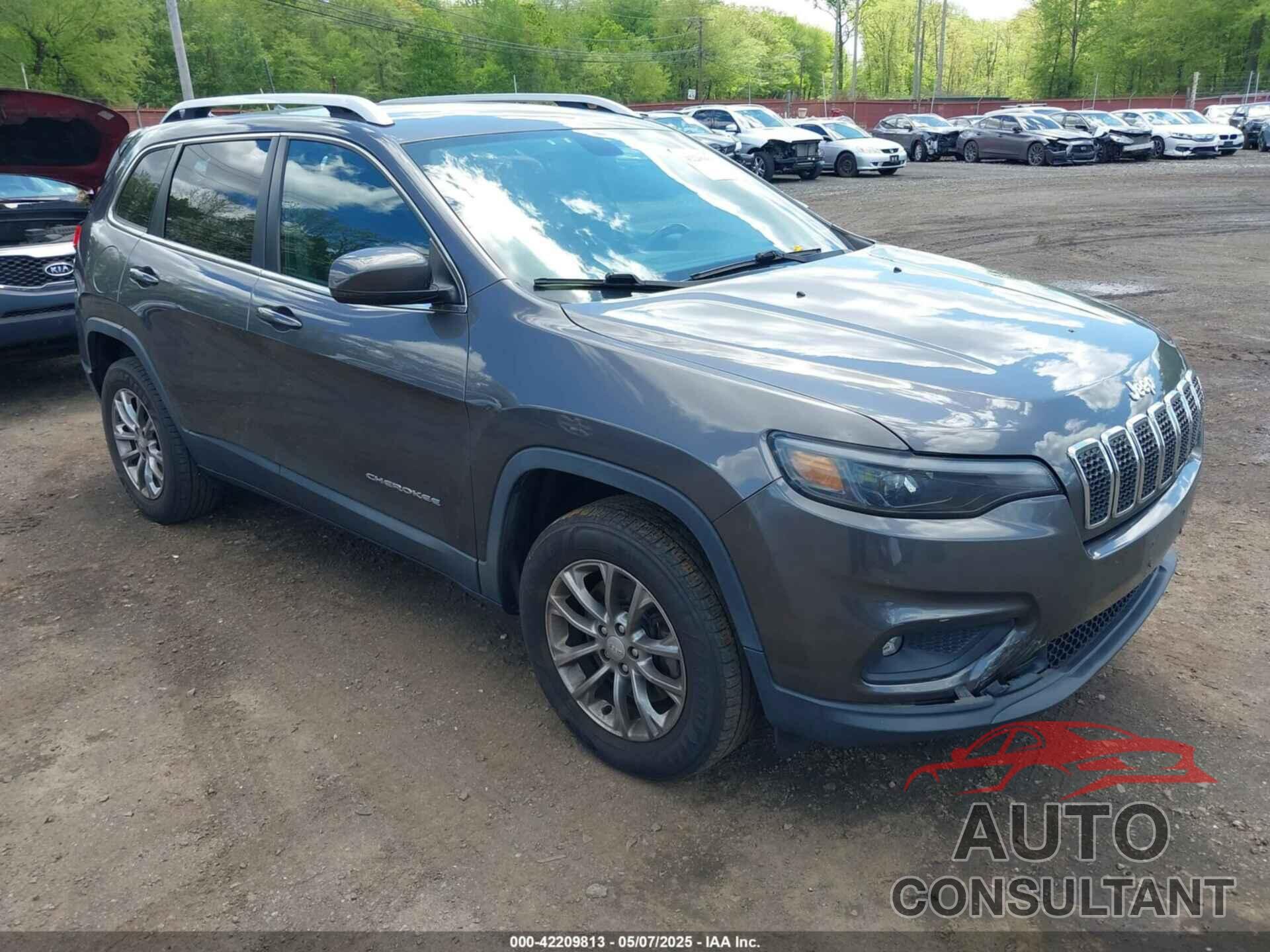 JEEP CHEROKEE 2019 - 1C4PJMLB6KD355718