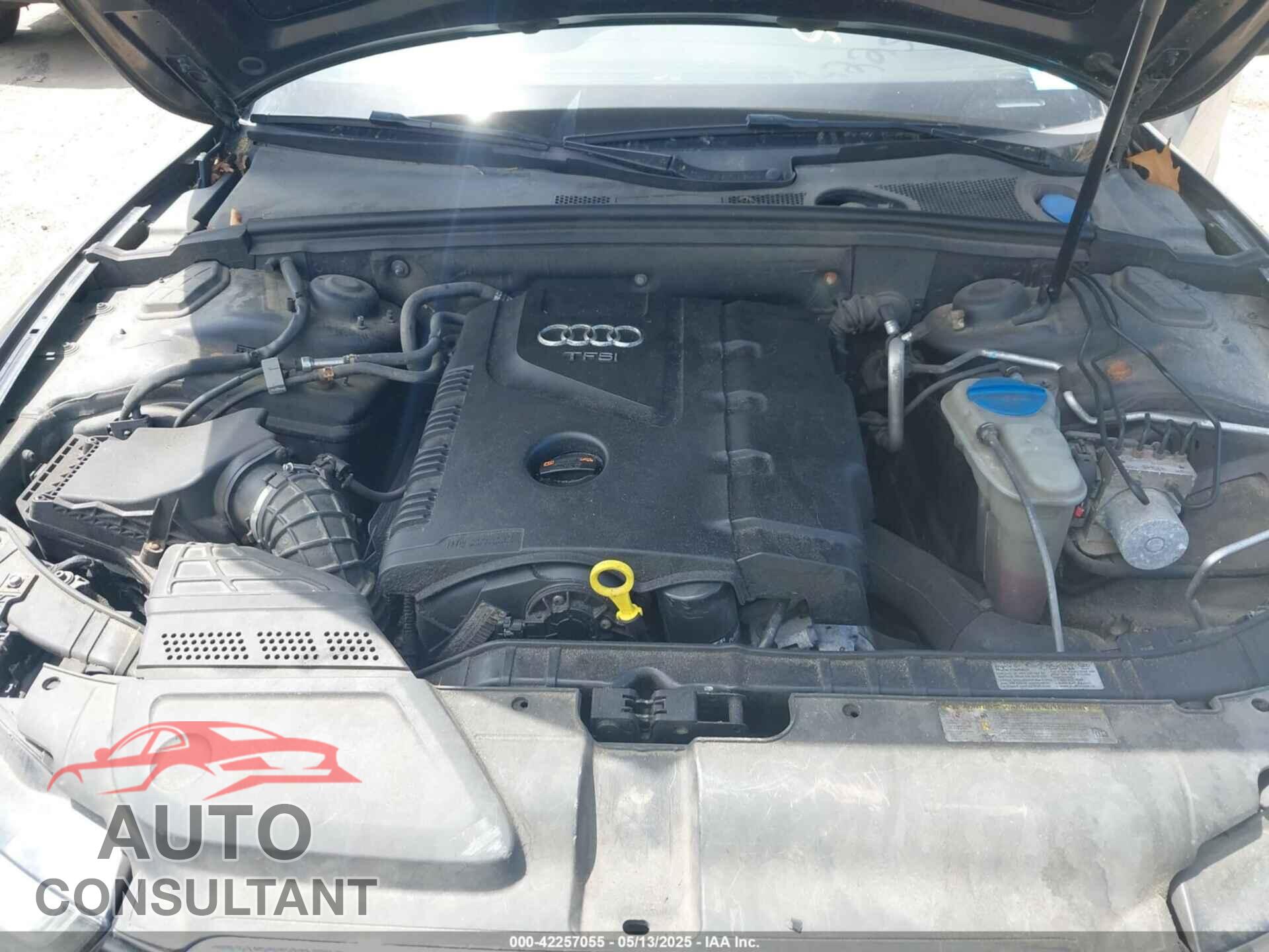 AUDI A5 2013 - WAULFAFH3DN009568