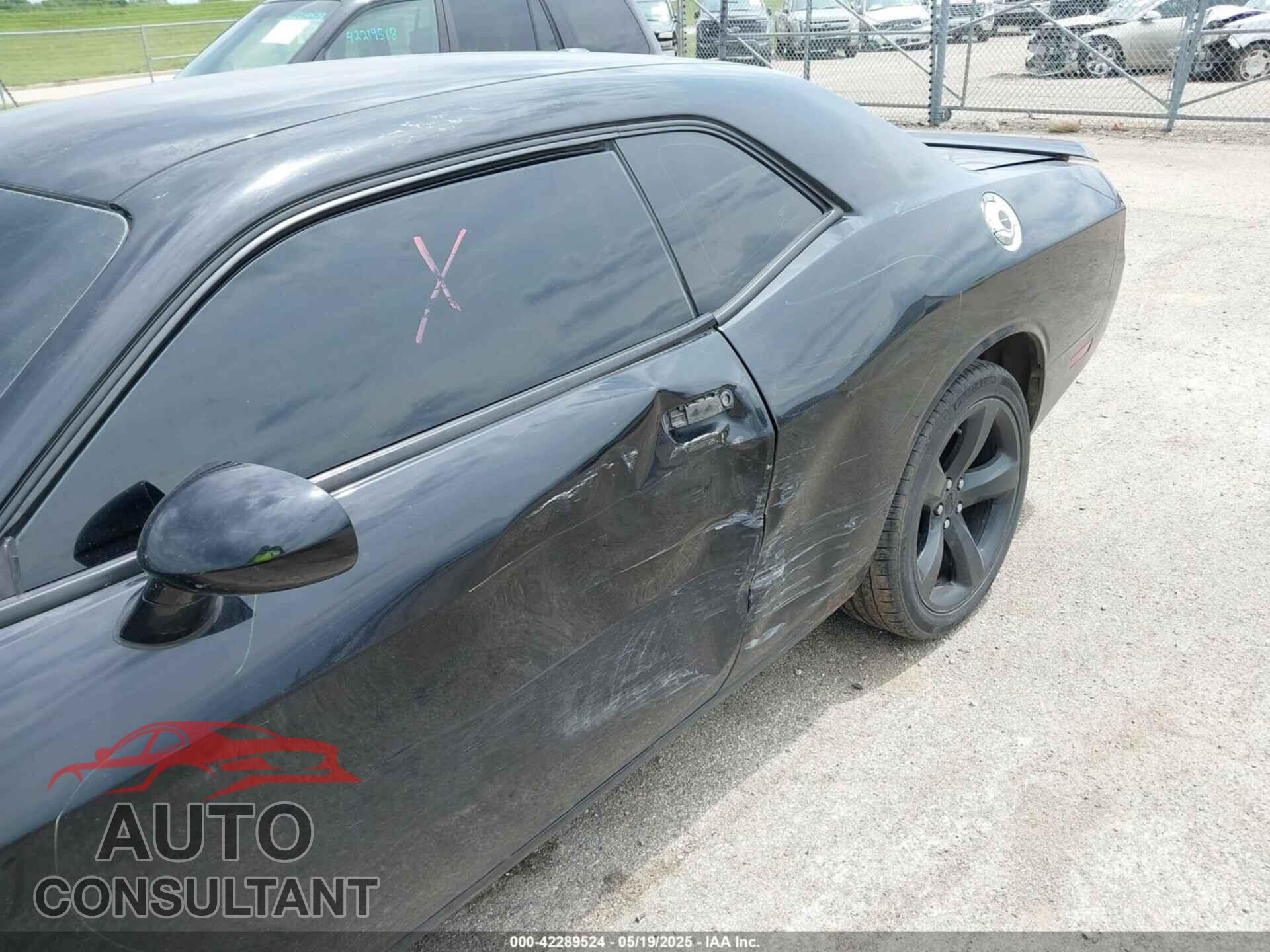 DODGE CHALLENGER 2013 - 2C3CDYAG6DH641462