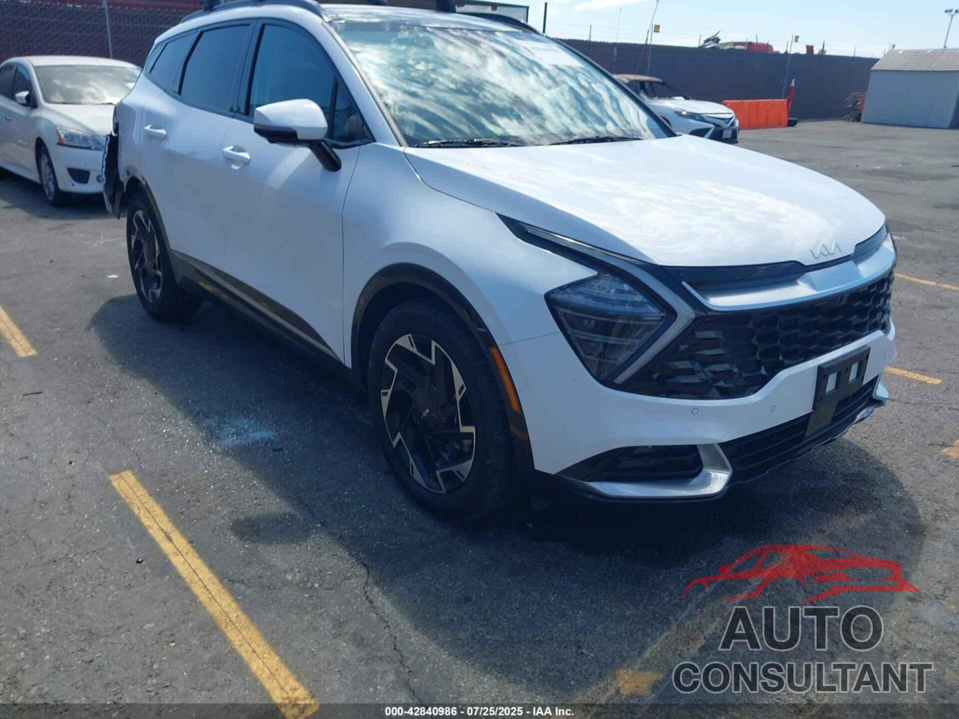 KIA SPORTAGE 2024 - 5XYK53DFXRG158055