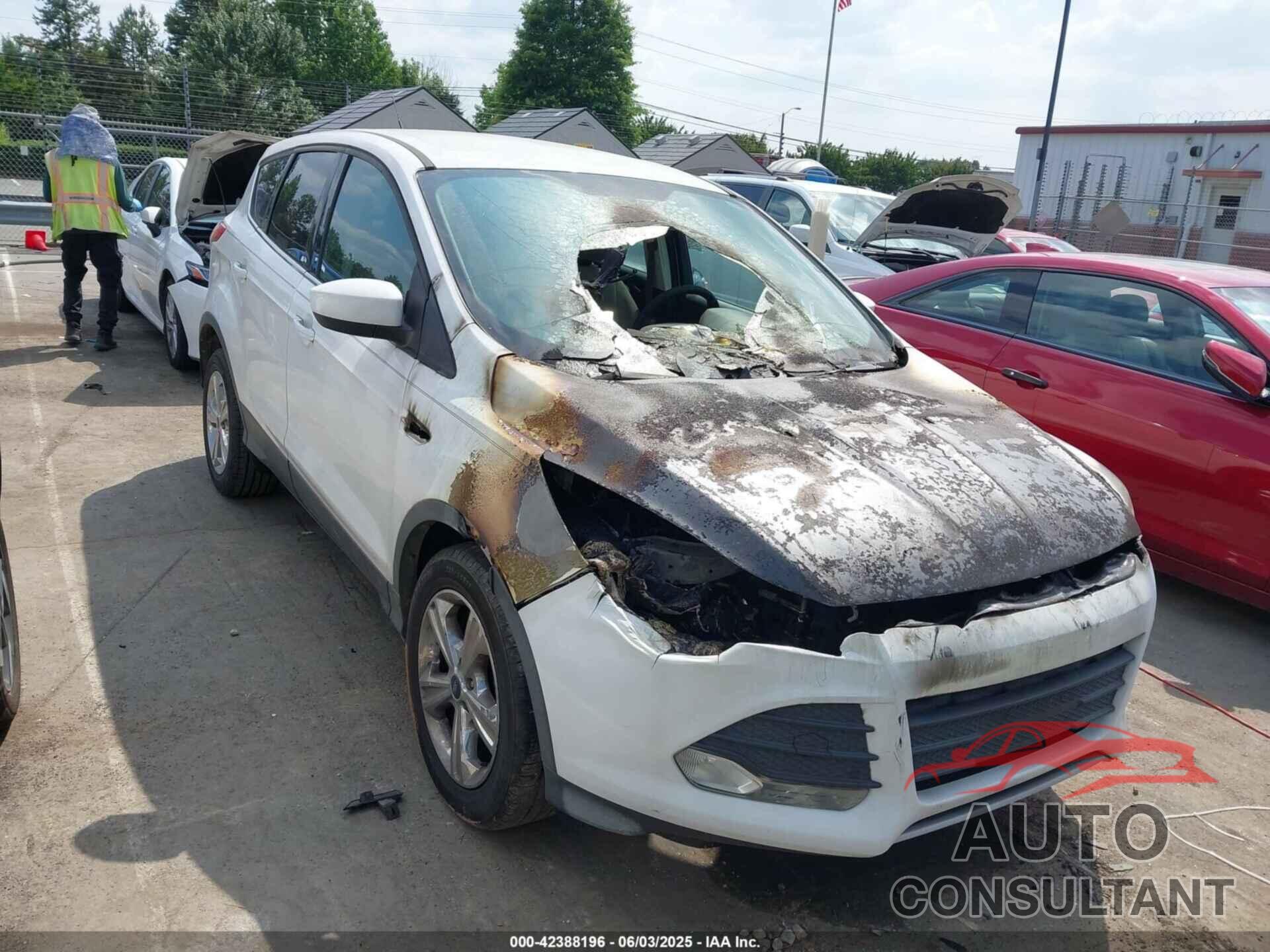 FORD ESCAPE 2014 - 1FMCU9GX8EUB16857