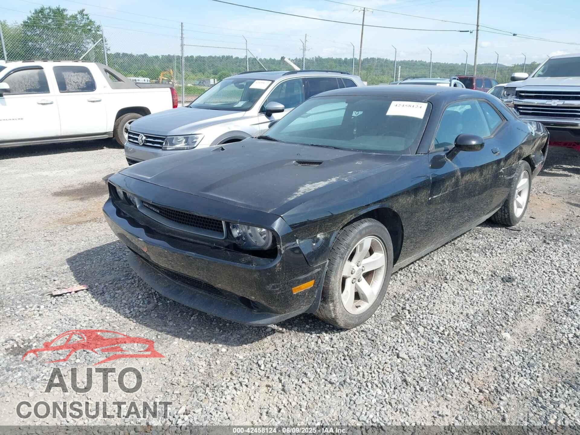 DODGE CHALLENGER 2013 - 2C3CDYAG4DH501152