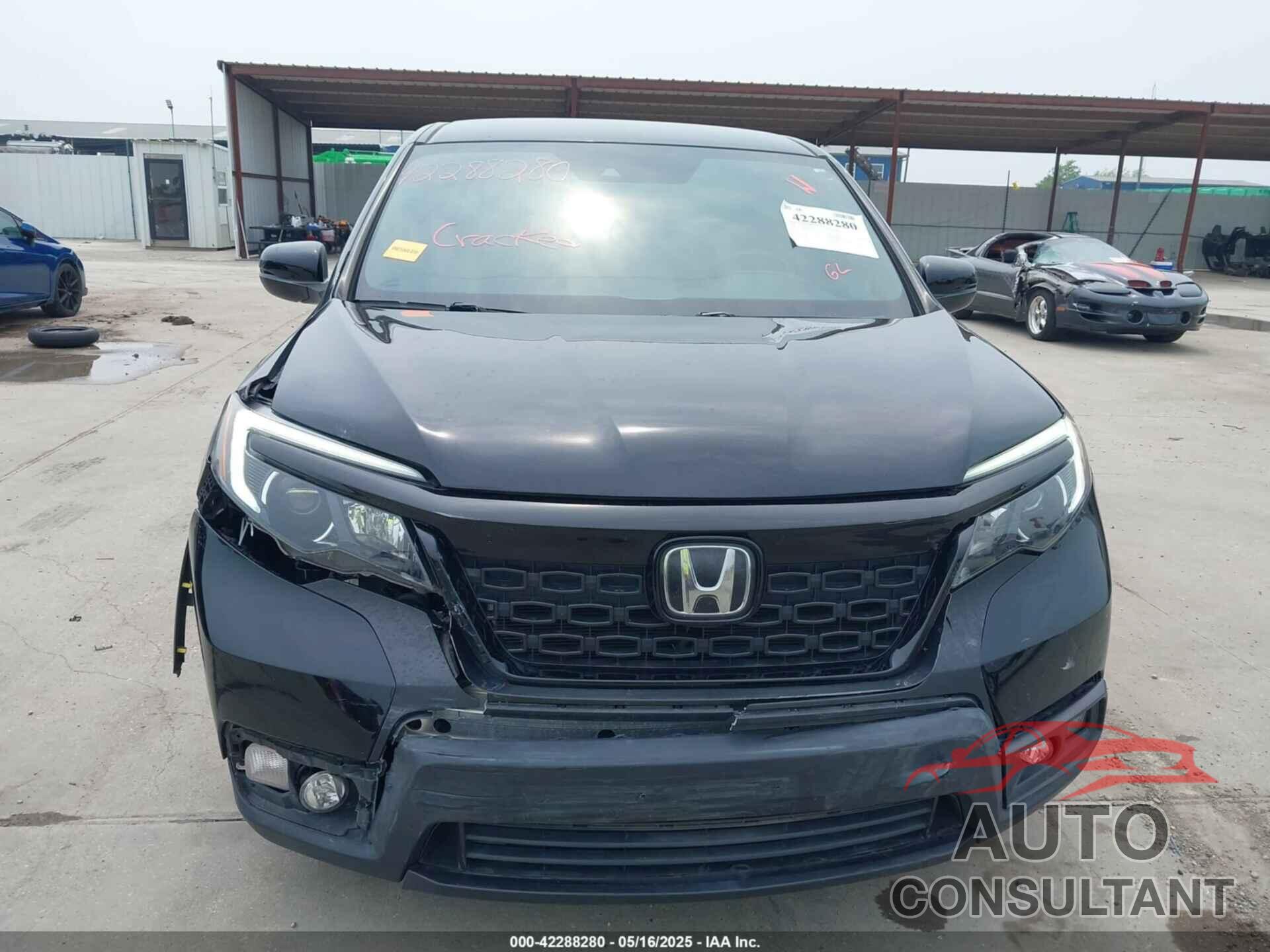 HONDA PASSPORT 2019 - 5FNYF7H25KB008597
