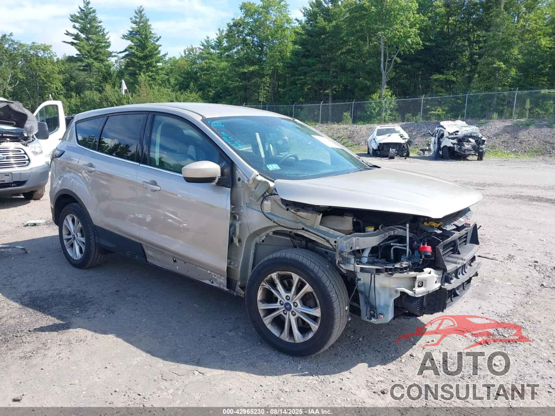 FORD ESCAPE 2017 - 1FMCU9G94HUB93621