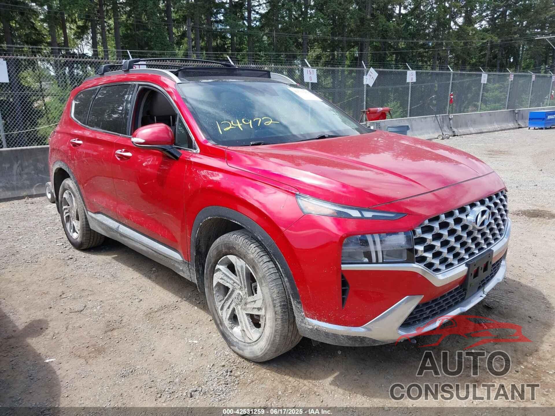HYUNDAI SANTA FE 2021 - 5NMS3DAJ6MH372401