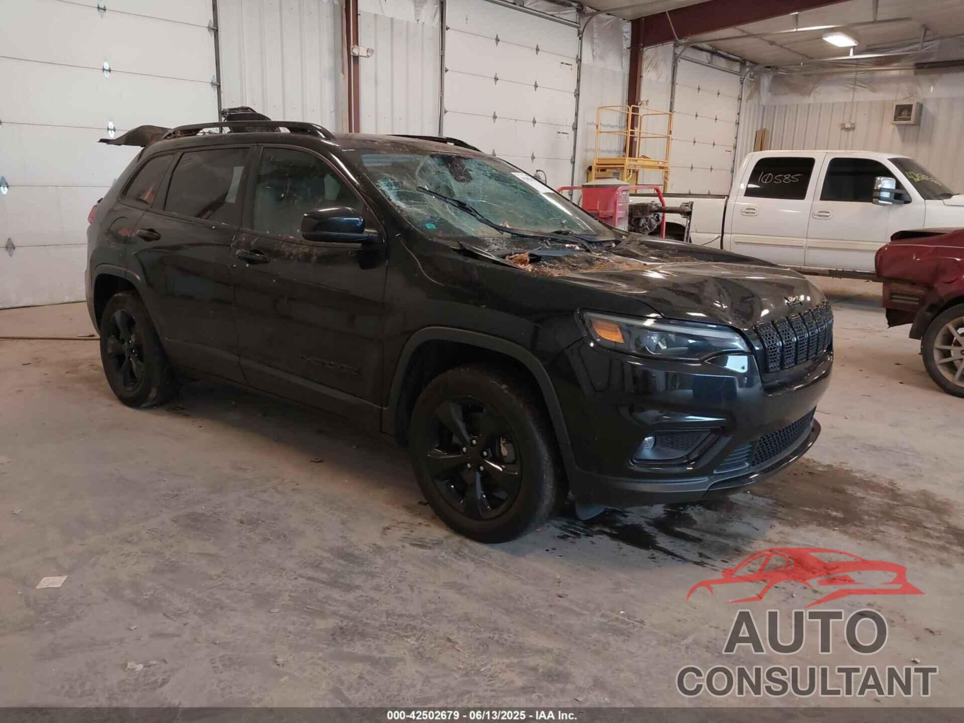 JEEP CHEROKEE 2020 - 1C4PJMLN6LD553954