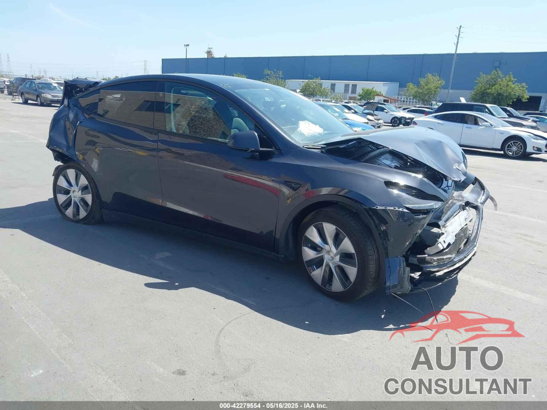TESLA MODEL Y 2024 - 7SAYGDEE3RF070846