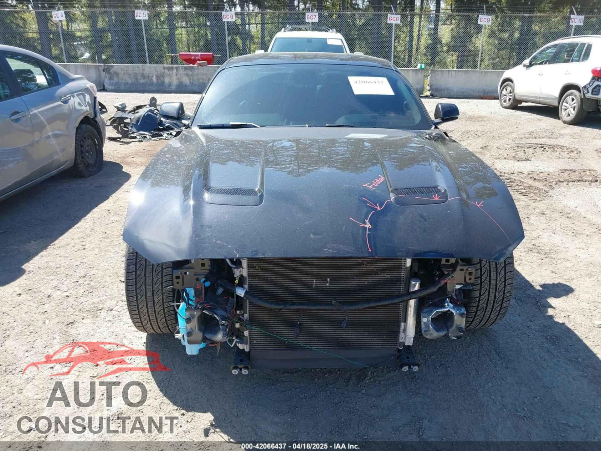 FORD MUSTANG 2020 - 1FA6P8CF9L5163585