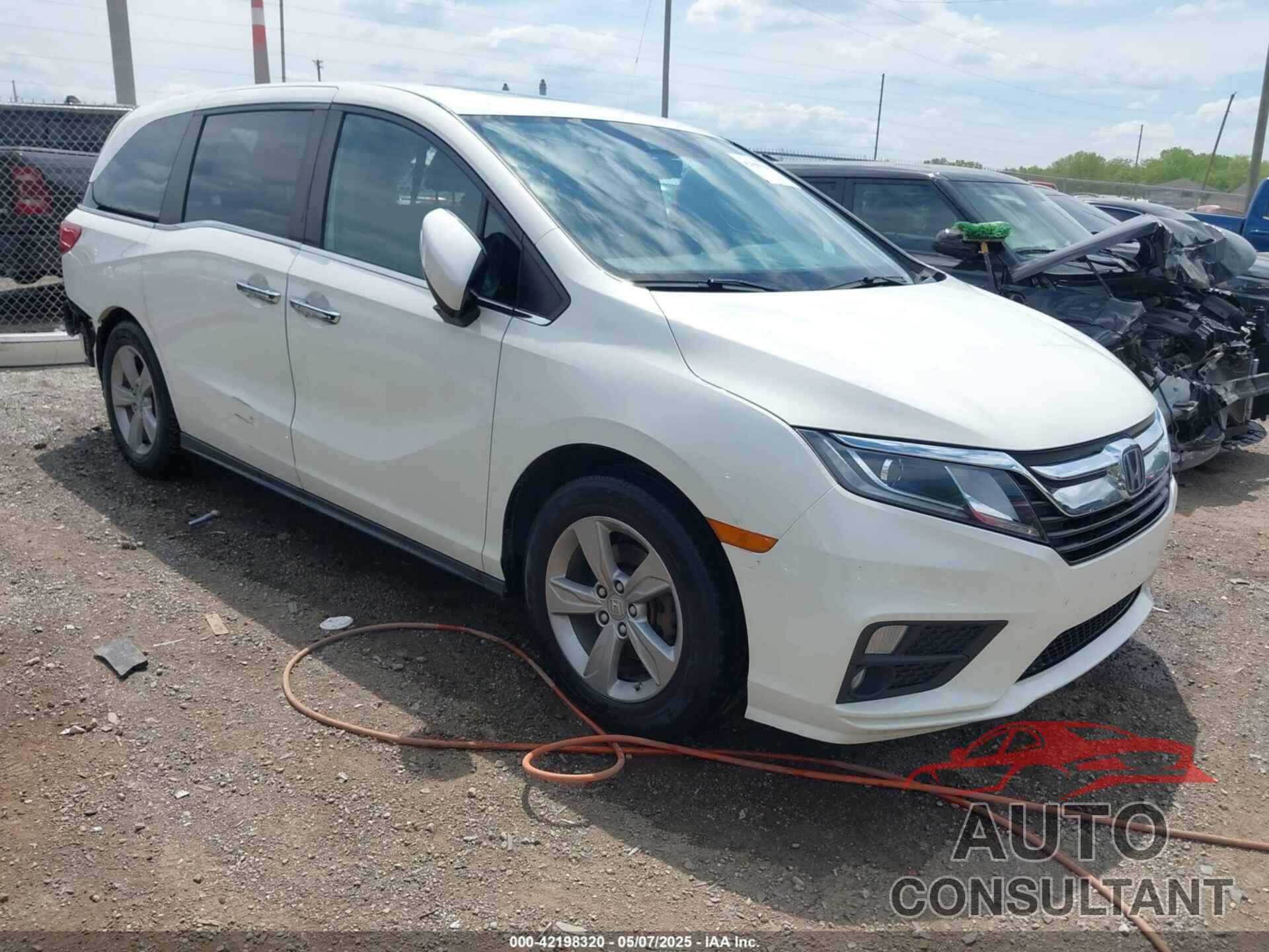HONDA ODYSSEY 2019 - 5FNRL6H71KB081808