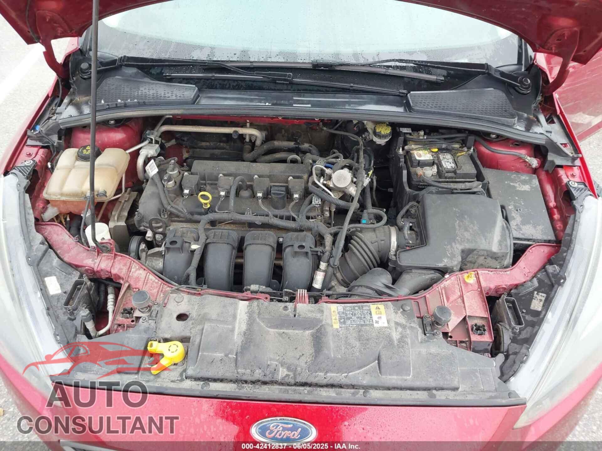 FORD FOCUS 2016 - 1FADP3K20GL361112