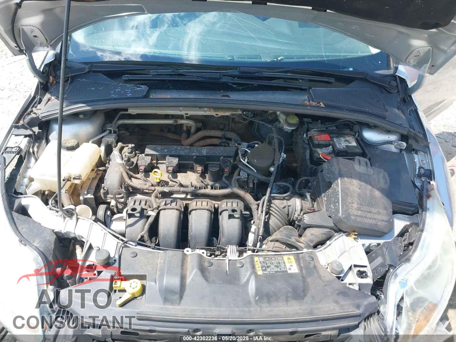 FORD FOCUS 2014 - 1FADP3K21EL416566
