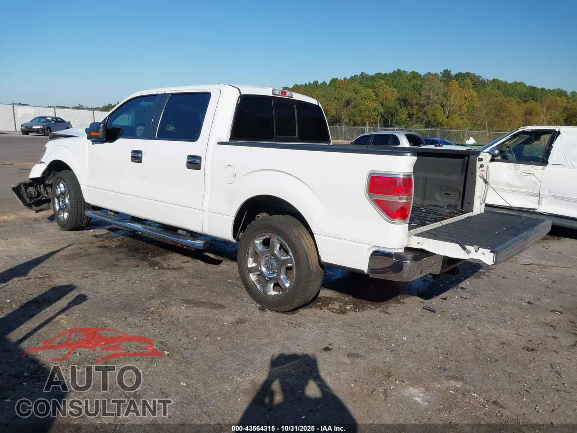 FORD F-150 2013 - 1FTFW1CF1DFD81164