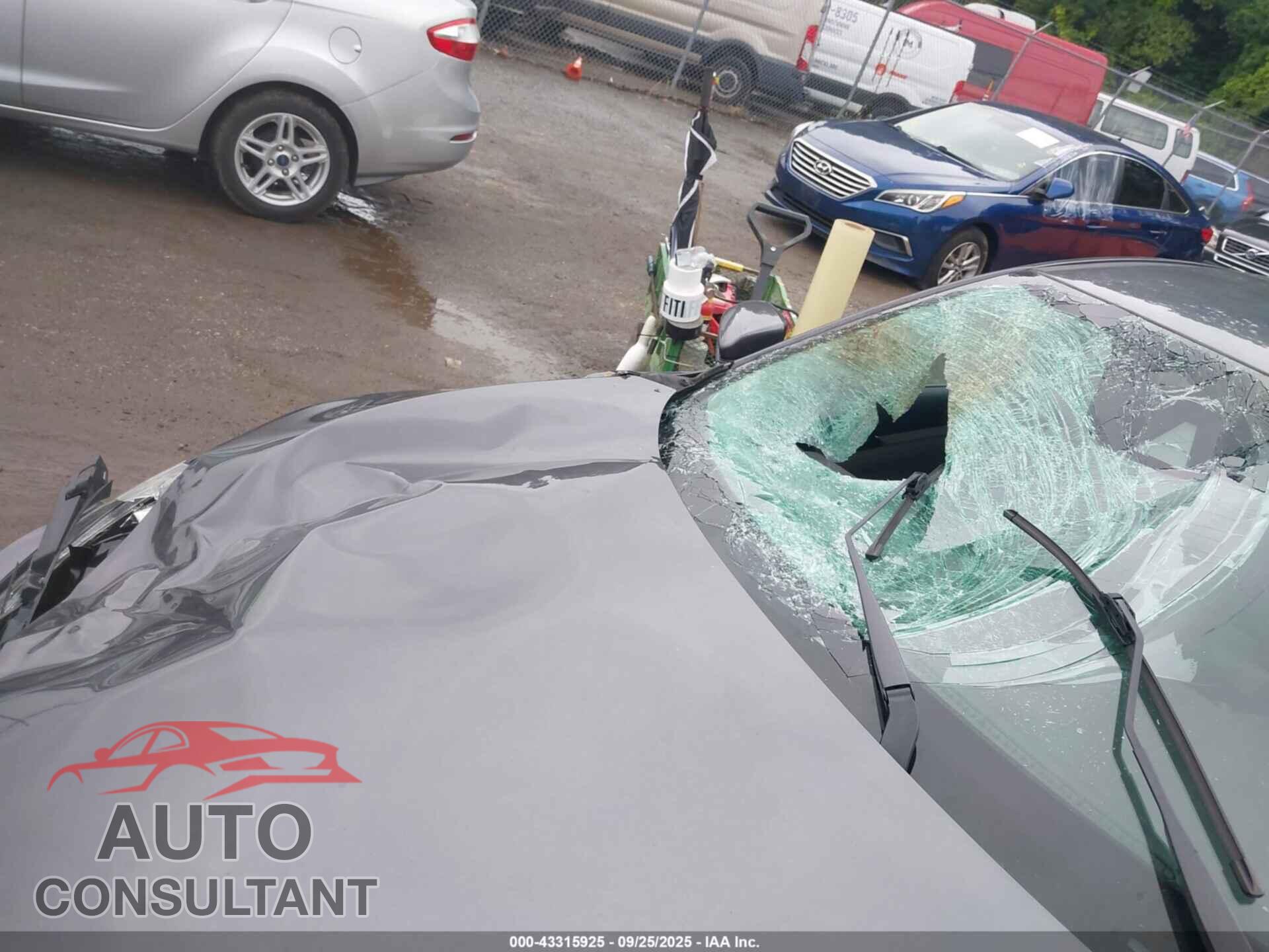 HONDA CIVIC 2019 - 2HGFC2F67KH541958