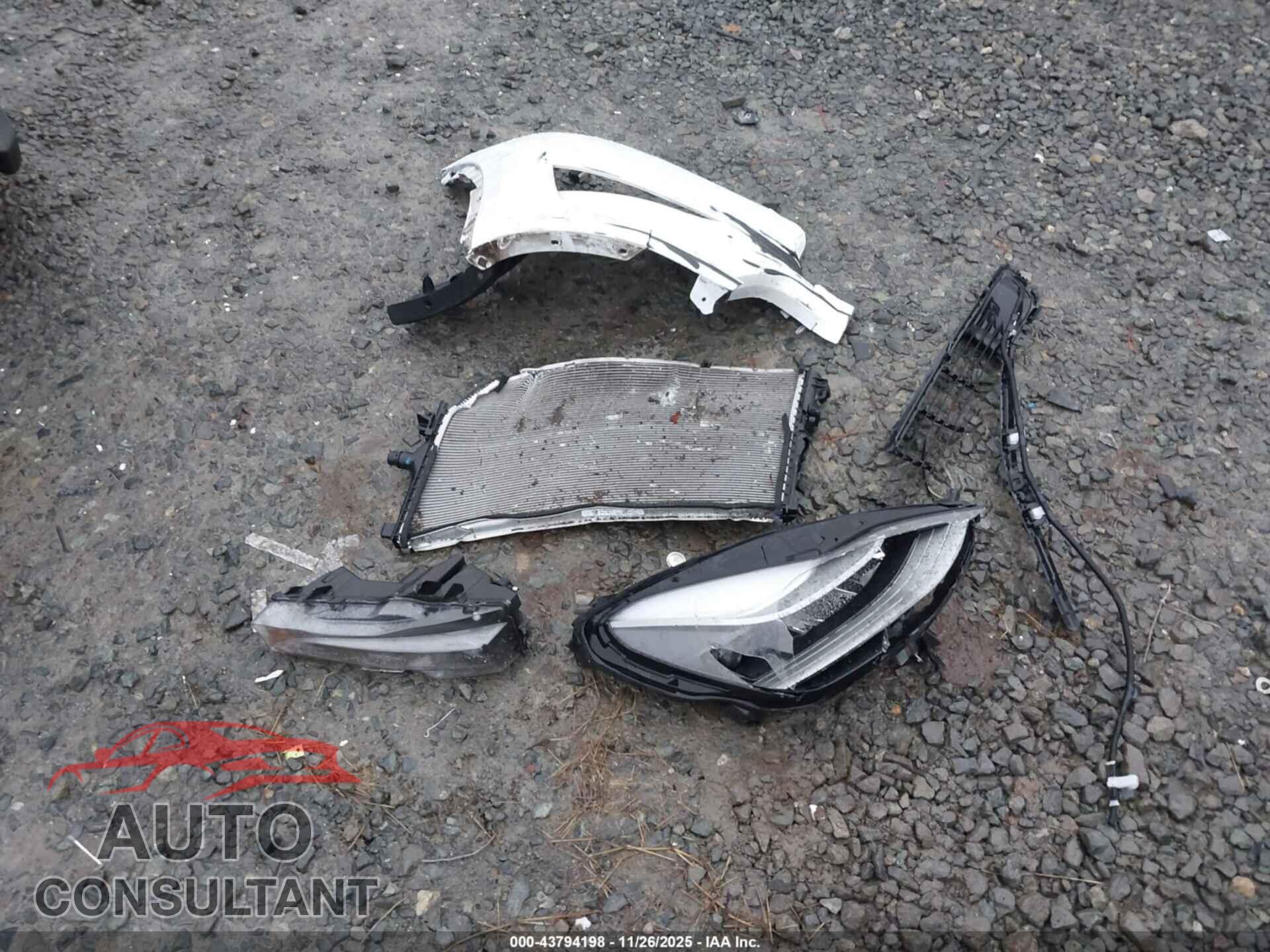 TESLA MODEL Y 2023 - 7SAYGDEE7PF684988