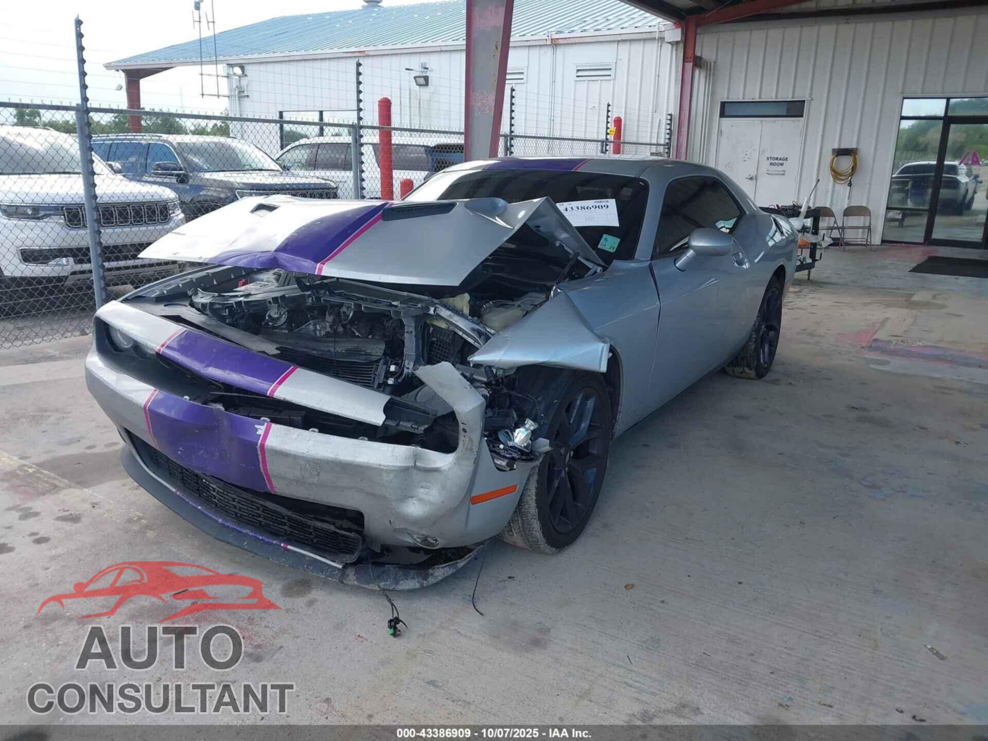 DODGE CHALLENGER 2019 - 2C3CDZAG9KH666679