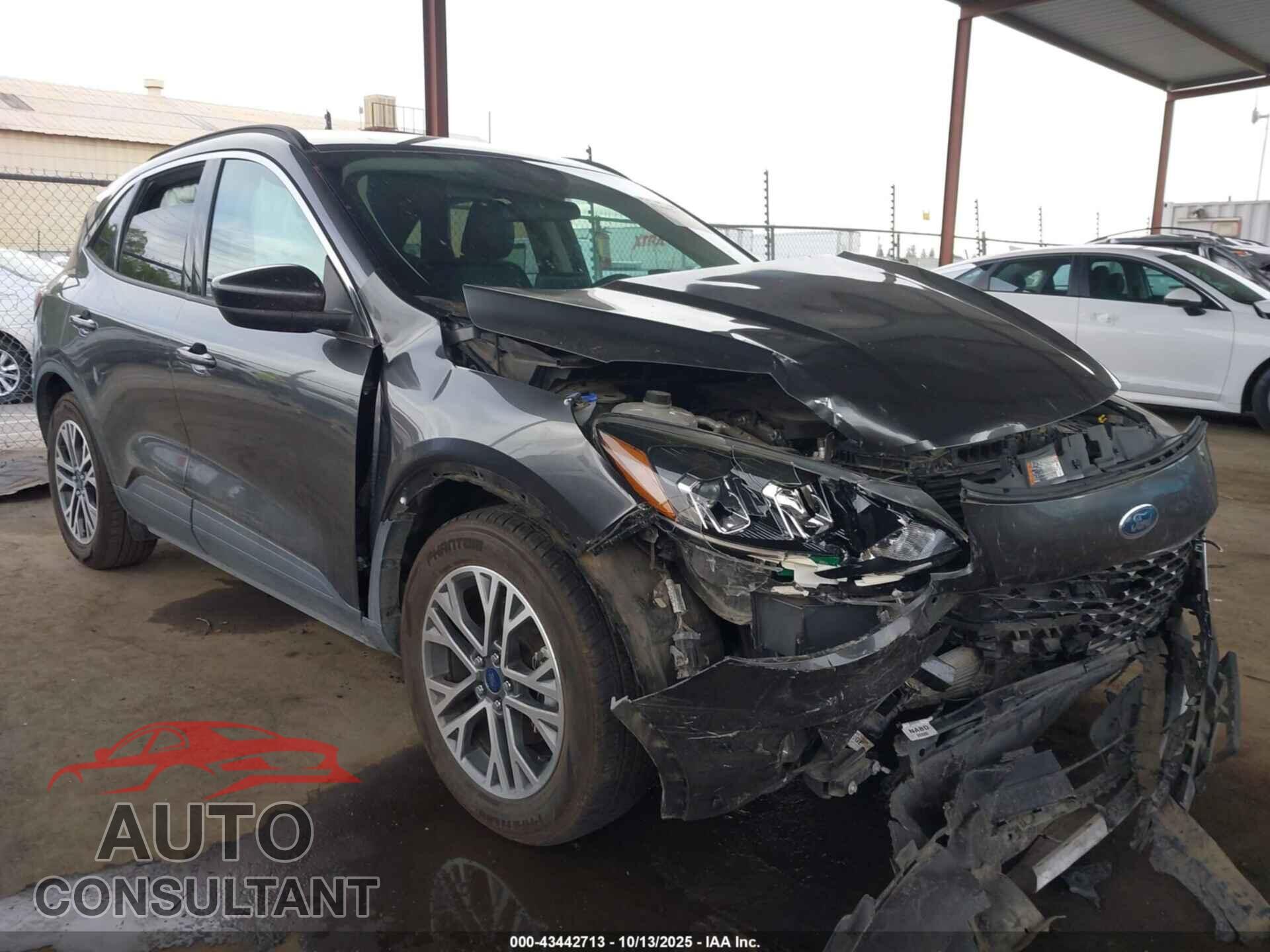 FORD ESCAPE 2020 - 1FMCU0H67LUA79542