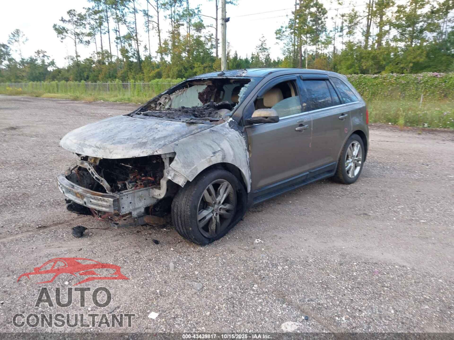 FORD EDGE 2013 - 2FMDK3K96DBC64817