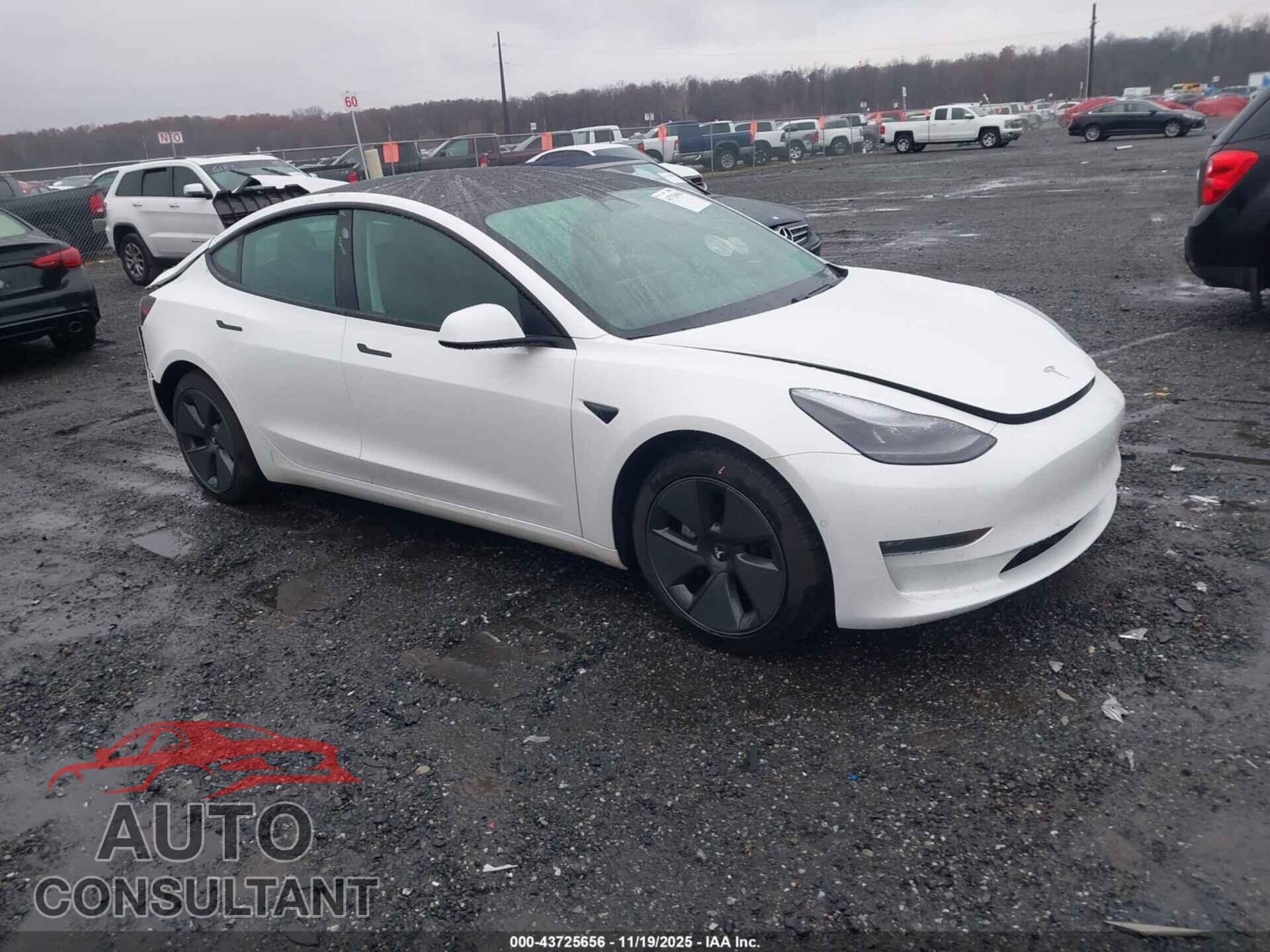 TESLA MODEL 3 2021 - 5YJ3E1EB8MF032863