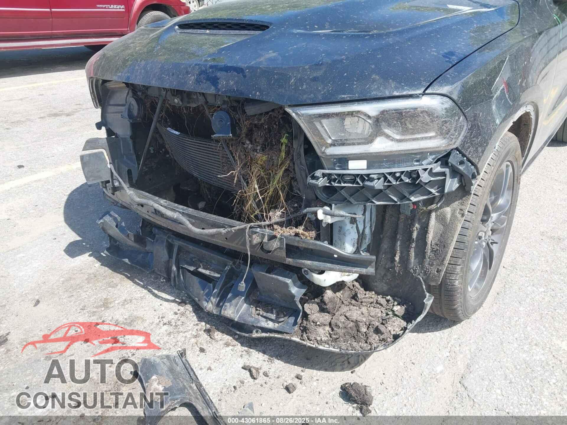 DODGE DURANGO 2024 - 1C4RDJDG2RC174981