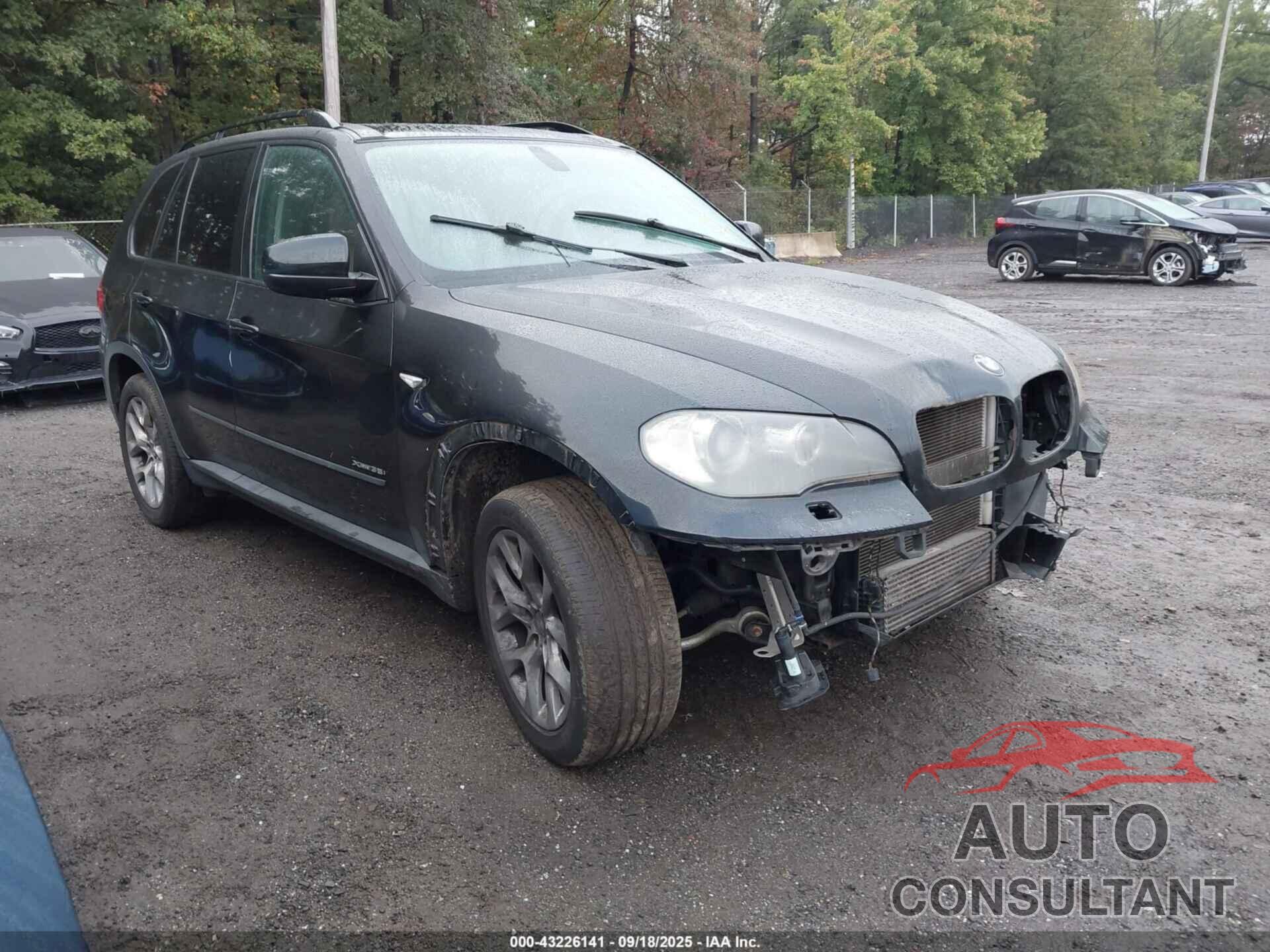 BMW X5 2011 - 5UXZV4C53BL404949