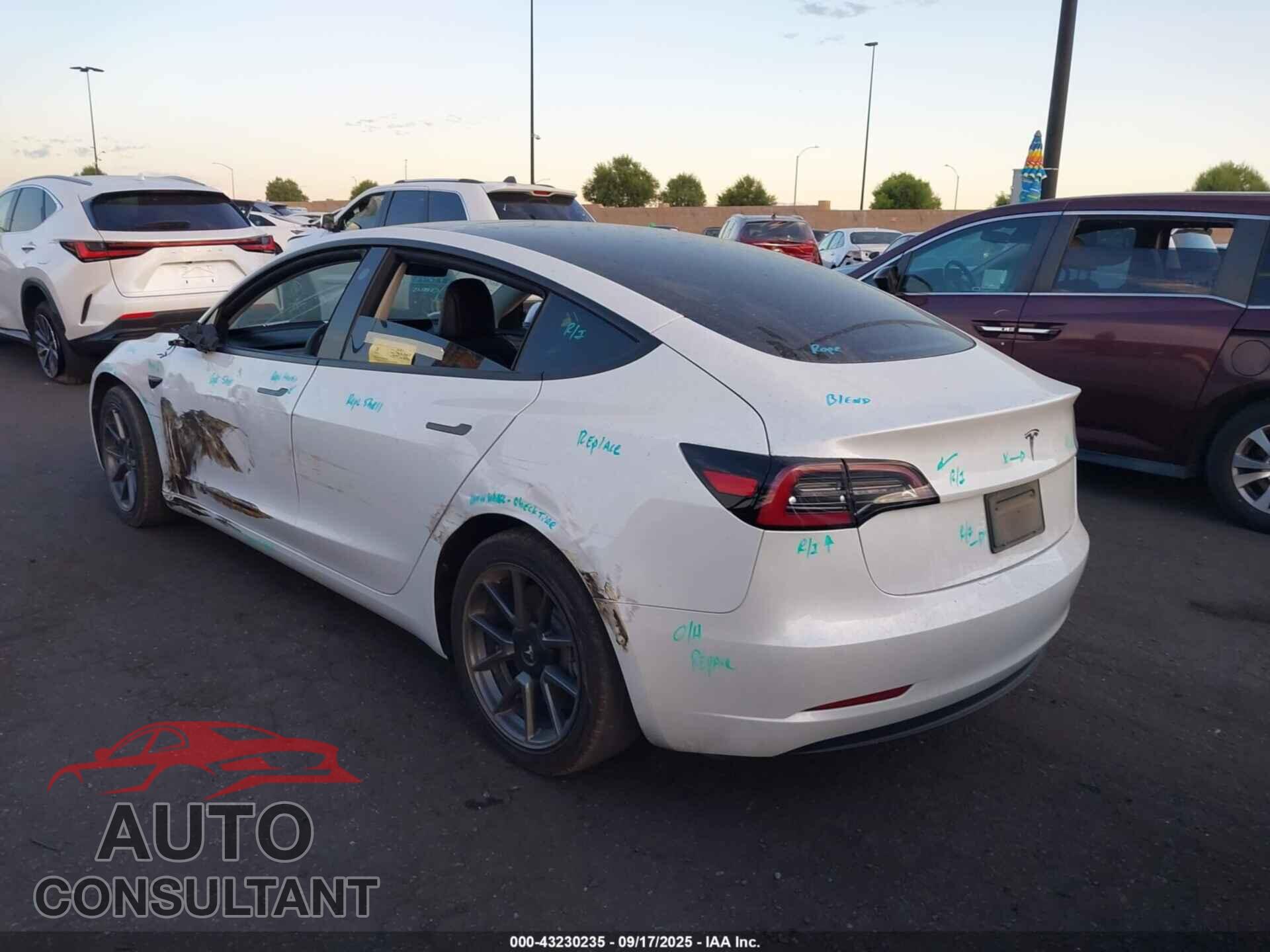 TESLA MODEL 3 2021 - 5YJ3E1EA3MF981891
